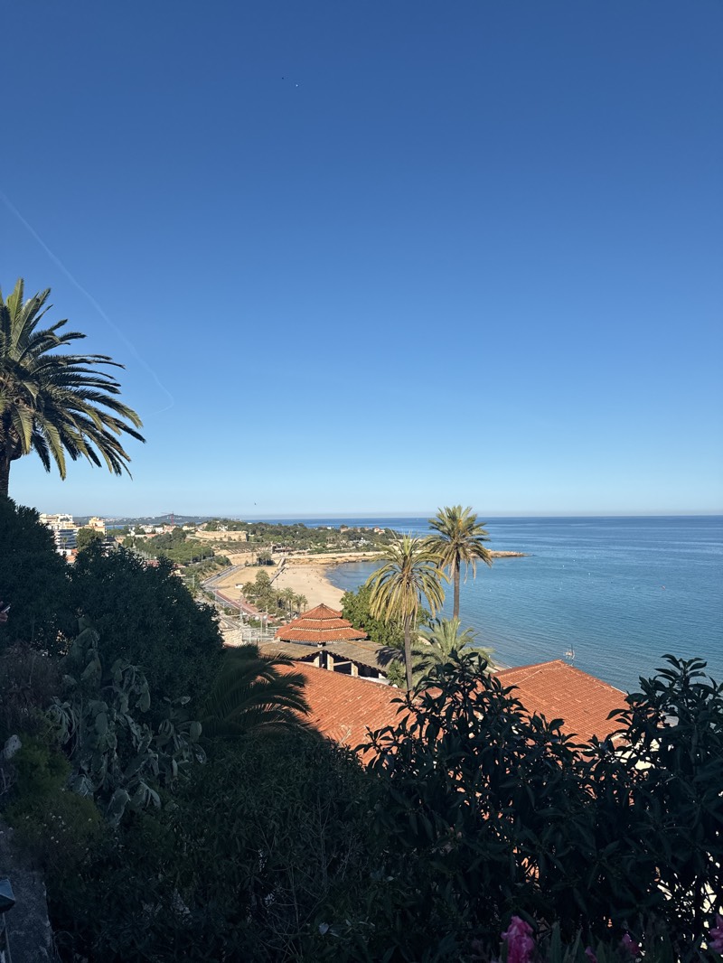 Here is a detailed description of the image:
**Location:**
The image appears to be taken from an elevated vantage point in or near the city of Tarragona, Spain. This is inferred from the coastal setting, architectural style (red-tiled roofs), vegetation (palm trees), and general landscape, which are characteristic of the Mediterranean coast of Spain.
**Scene Description:**
The image captures a scenic view of the coastline. A beach is visible, backed by a promenade or road that runs parallel to the shore. Beyond the beach, the Mediterranean Sea stretches out to the horizon, appearing calm and blue under a clear, cloudless sky.
**Foreground:**
The immediate foreground is dominated by dense vegetation, including palm trees, shrubs, and flowering plants. The presence of shade suggests the vantage point is in an area with mature trees or built structures. Some red-tiled roofs are partially visible, hinting at buildings or structures nestled among the greenery.
**Midground:**
The midground features the beach with light colored sand. A line of palm trees and other plants separates the beach from the road. Buildings can be seen on the opposite end of the beach.
**Background:**
The clear blue sky takes up a large portion of the image. The horizon line separates the sea from the sky, and the distant coastline is visible in the far background.
**Overall Impression:**
The image evokes a sense of tranquility and showcases a typical Mediterranean coastal landscape, with its blend of natural and urban elements. The lack of people and action contributes to a still and peaceful atmosphere.
