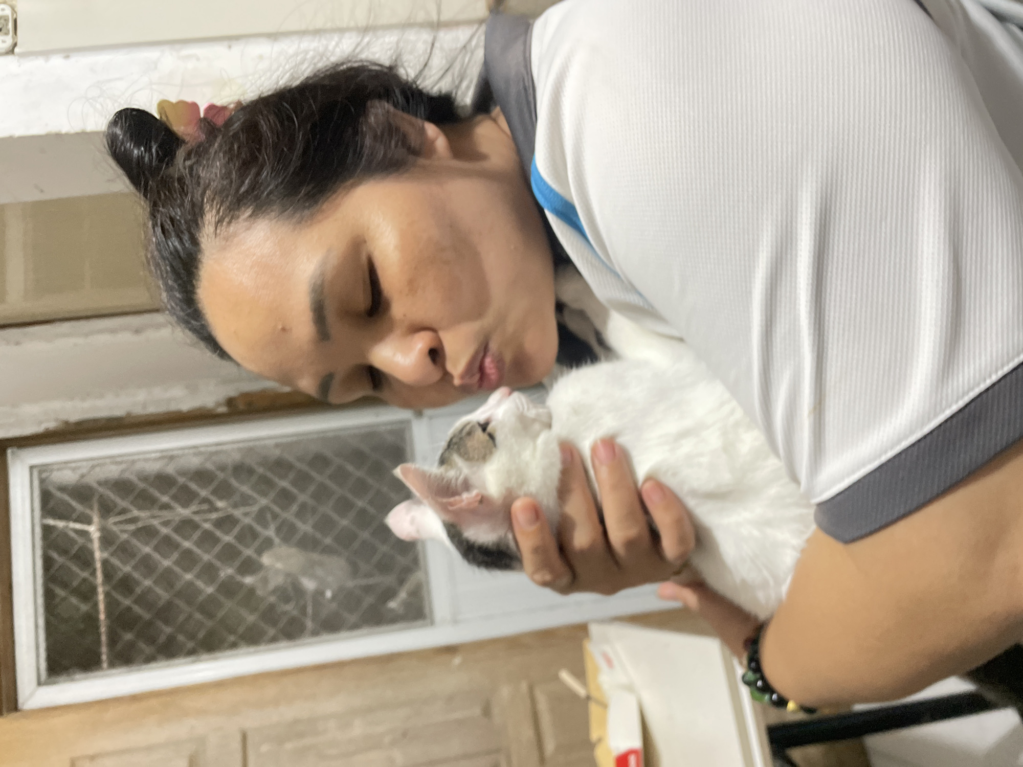 A woman with dark hair styled in a bun with a pink and yellow hair accessory is holding a white and brown cat. She is leaning in to kiss the cat, with her eyes closed. She is wearing a white collared shirt with grey and blue accents. The cat is held close to her chest, with one of its paws visible. In the background, there is a doorway with a screen door and a table with a white box on it. The overall scene appears to be indoors, in a residential setting, likely in Davao City, Philippines, given the context.