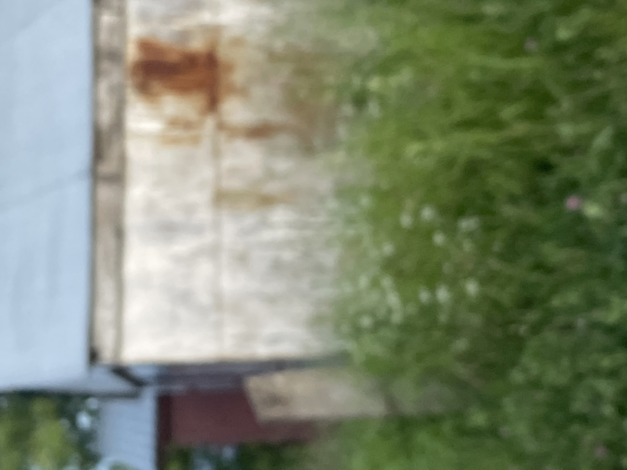 The image shows a slightly out-of-focus view of the side of a building with a corrugated metal roof and a white or light-colored wall. There is a large patch of rust on the wall. In front of the building is tall green grass with some small white flowers. A portion of a red building is visible to the left, and a gray concrete structure is also present. The scene appears to be outdoors, possibly in a rural or semi-rural setting. The location is identified as Krasnye Baki, Russia.