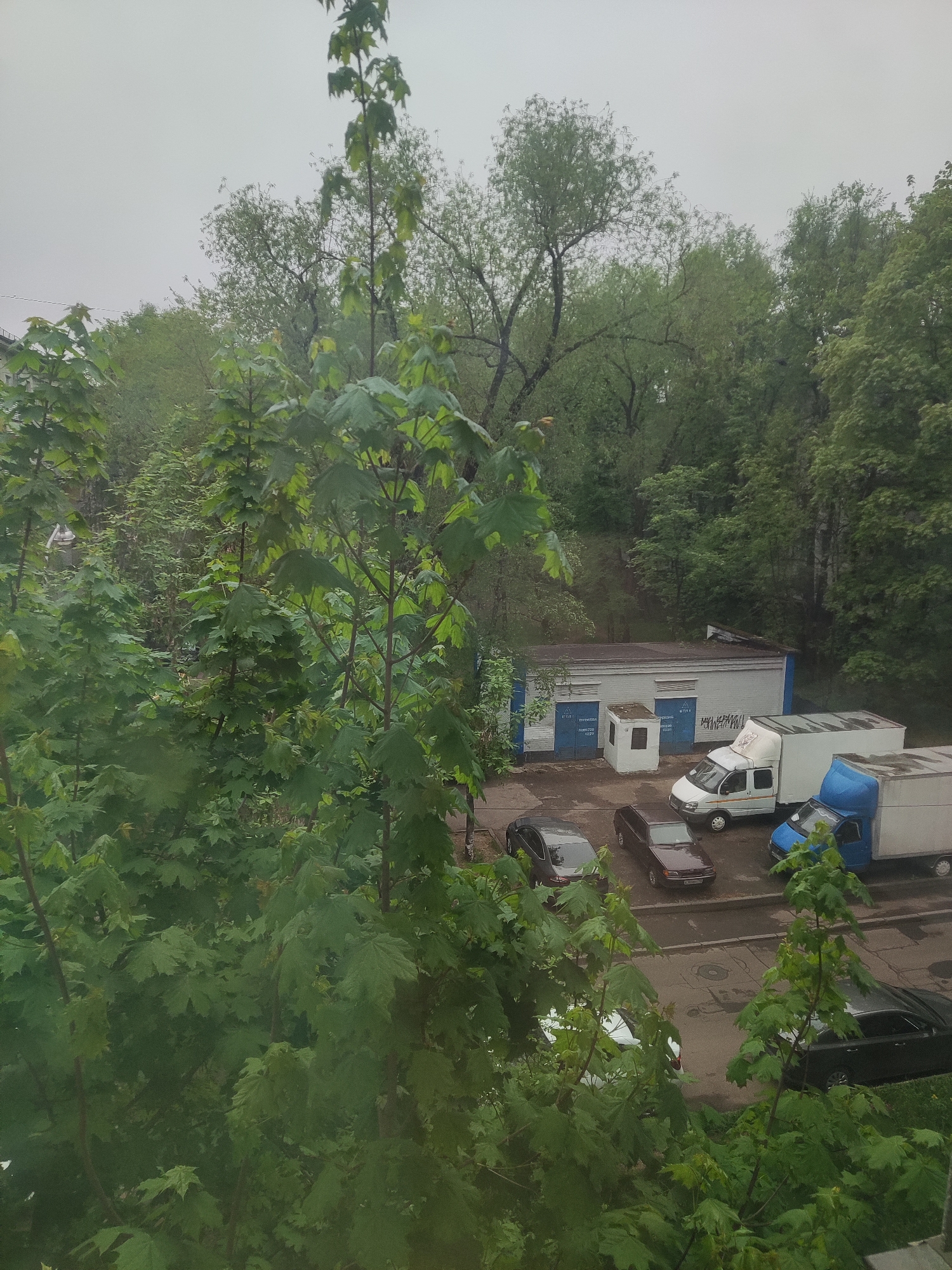 An elevated, slightly overcast view captures a small parking area in Khimki, Russia. The parking area is behind a single-story building with light-colored walls and blue doors. Multiple vans and cars are parked in the lot. A dense collection of trees fills the background and foreground, partially obscuring the view.