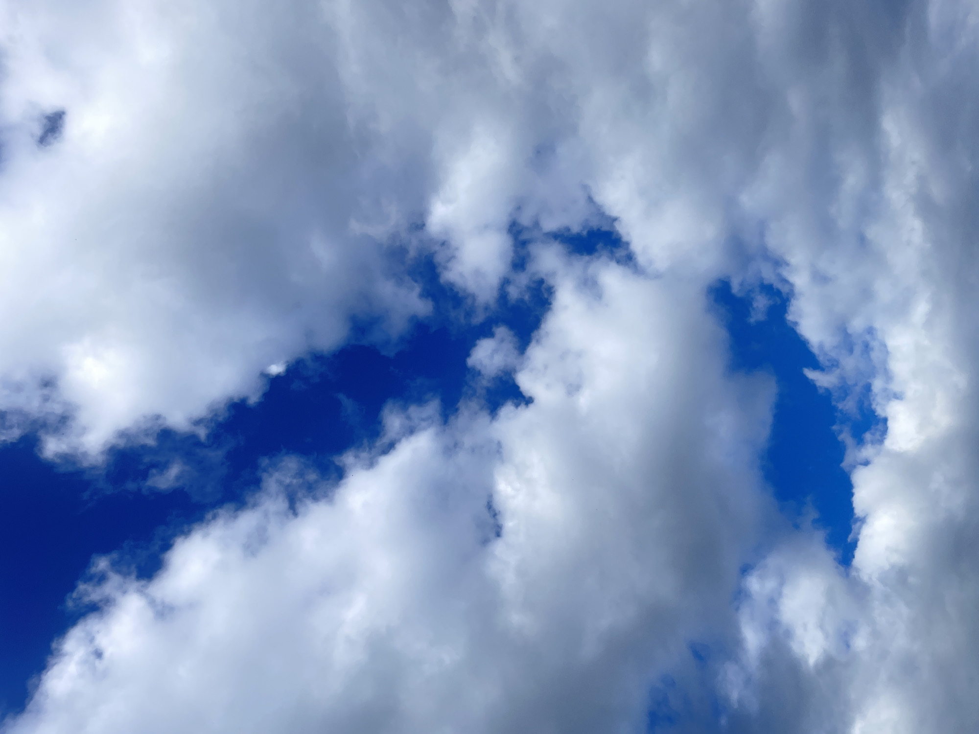 The image shows a view of the sky with clouds. There are patches of bright blue sky visible through gaps in the white and gray clouds. The clouds vary in density, with some appearing thick and opaque while others are more translucent. There are no people, subjects, objects, or actions depicted in the image. The image is a close-up, vertical shot of the sky. The location of Laishevo, Russia is not discernible from the visual information provided in the image.