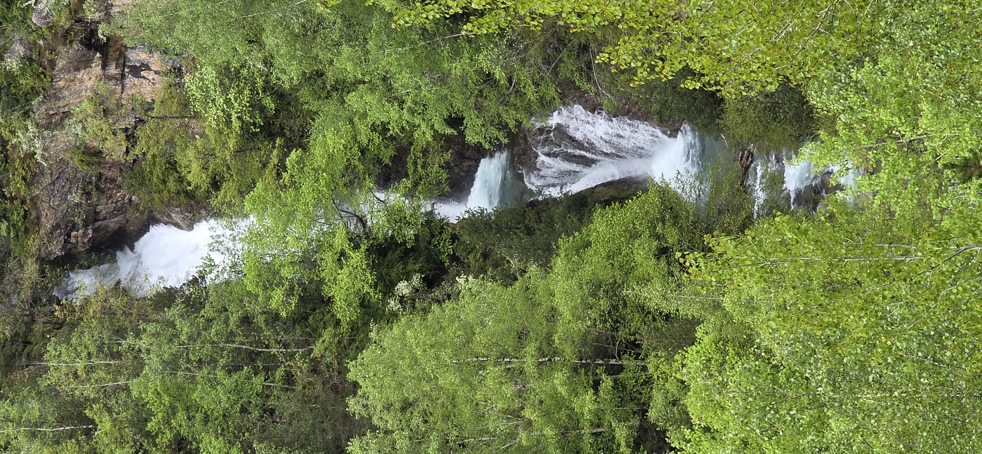 The image shows the Forau de Aigualluts waterfall, located in Sahún, Spain. The waterfall cascades down a rocky cliff, surrounded by lush green trees and vegetation. The water appears white and foamy as it flows over the rocks. The trees and foliage are dense, creating a vibrant green canopy around the waterfall.