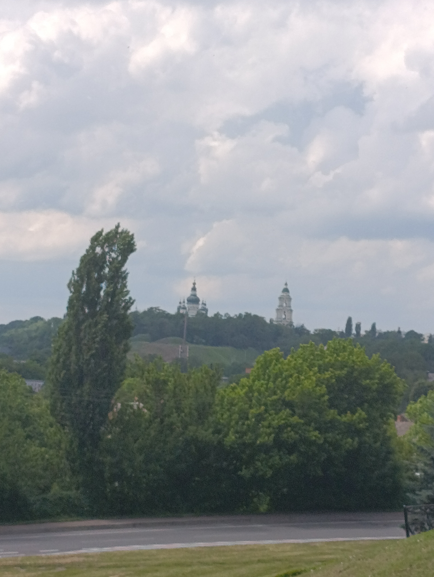 The image depicts a panoramic view of Chernihiv, Ukraine, featuring a lush green landscape with trees and distant architectural structures against a cloudy sky. In the middle ground, two prominent domed buildings, characteristic of Ukrainian churches or monasteries, are visible atop a verdant hill. The building on the left has multiple turquoise domes, while the one on the right is a lighter color with a single dome and a tall, slender bell tower. A tall, slender tree with dense foliage stands in the foreground on the left side of the image, partially obscuring the view of the buildings. The lower portion of the image shows a road and a grassy area, suggesting a park or a viewpoint overlooking the city. The overall atmosphere is serene and natural.