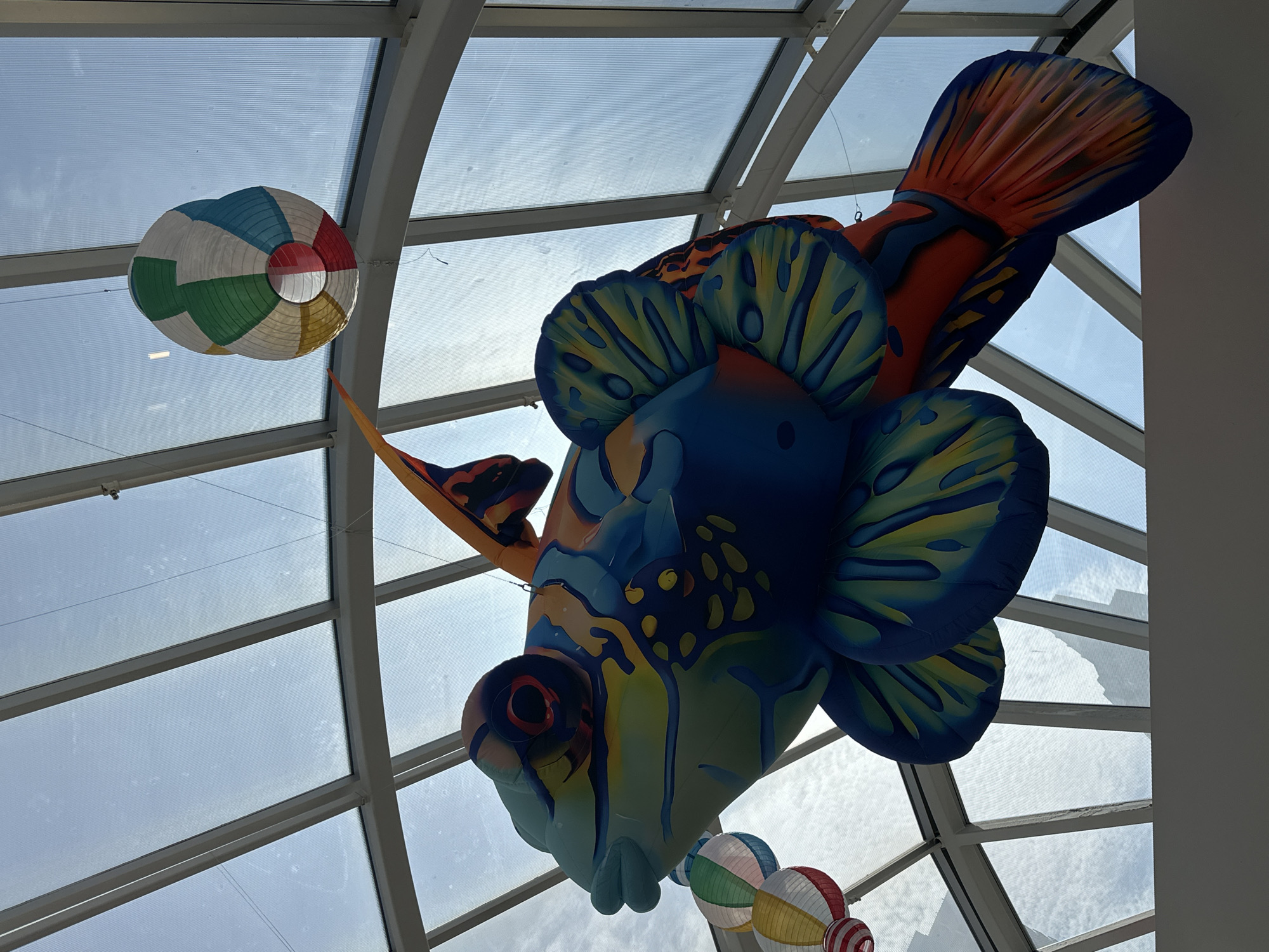 An inflatable sculpture of a vibrantly colored fish hangs suspended from the ceiling of a large atrium with a glass roof. The fish is predominantly blue, with yellow spots and accents of orange, green, and red. It is adorned with intricate patterns and appears to be a stylized representation of a Mandarin fish. Attached to the fish's head are several colorful paper lanterns, strung together in a line. Another larger, multi-colored lantern hangs separately above and to the right of the fish. The glass ceiling panels are supported by white structural beams, allowing natural light to filter through. The sky, visible through the glass, appears bright and cloudy. This scene is located in The Crystal at Metropolis at Metrotown in Burnaby, Canada.