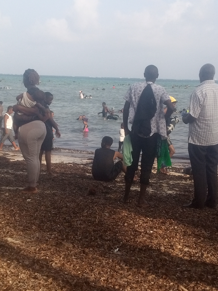 The image depicts a populated beach scene in Shanzu ward, Kenya. The foreground consists of a dense, matted layer of dry, brown marine vegetation covering the sand. A small, dark brown, spherical object is visible on this vegetation near the center.
Six individuals are observable in the foreground and midground, standing or sitting near the water's edge:
1. On the far left, an adult individual wearing light grey trousers and a light-colored top stands with their back mostly to the camera, holding a young child in a white top on their left hip.
2. Next to them, a second individual in dark shorts or a swimsuit stands partially submerged in the shallow water.
3. In the center, a third individual wearing dark clothing sits directly on the marine vegetation, facing the ocean.
4. To the mid-right, a fourth individual, wearing a patterned light-colored short-sleeve shirt and dark trousers, stands facing the ocean. A black backpack is worn on their back, and a light green garment hangs from their waist.
5. Further right, a fifth individual in a light plaid short-sleeve shirt and dark trousers stands facing the ocean, holding a small, unidentifiable object in their right hand.
6. Behind the fourth individual, a sixth person is partially visible in the water, wearing a dark top and what appears to be a light-colored garment wrapped around their waist.
The shallow water contains numerous individuals, including children. Observable details include a child in a pink swimsuit and several individuals using inflatable rings. An adult person wearing a white head covering is visible further out in the shallow water. Beyond the shallow area, numerous people are scattered across the ocean, appearing to be swimming or wading. The ocean surface is calm under a light, hazy sky.
