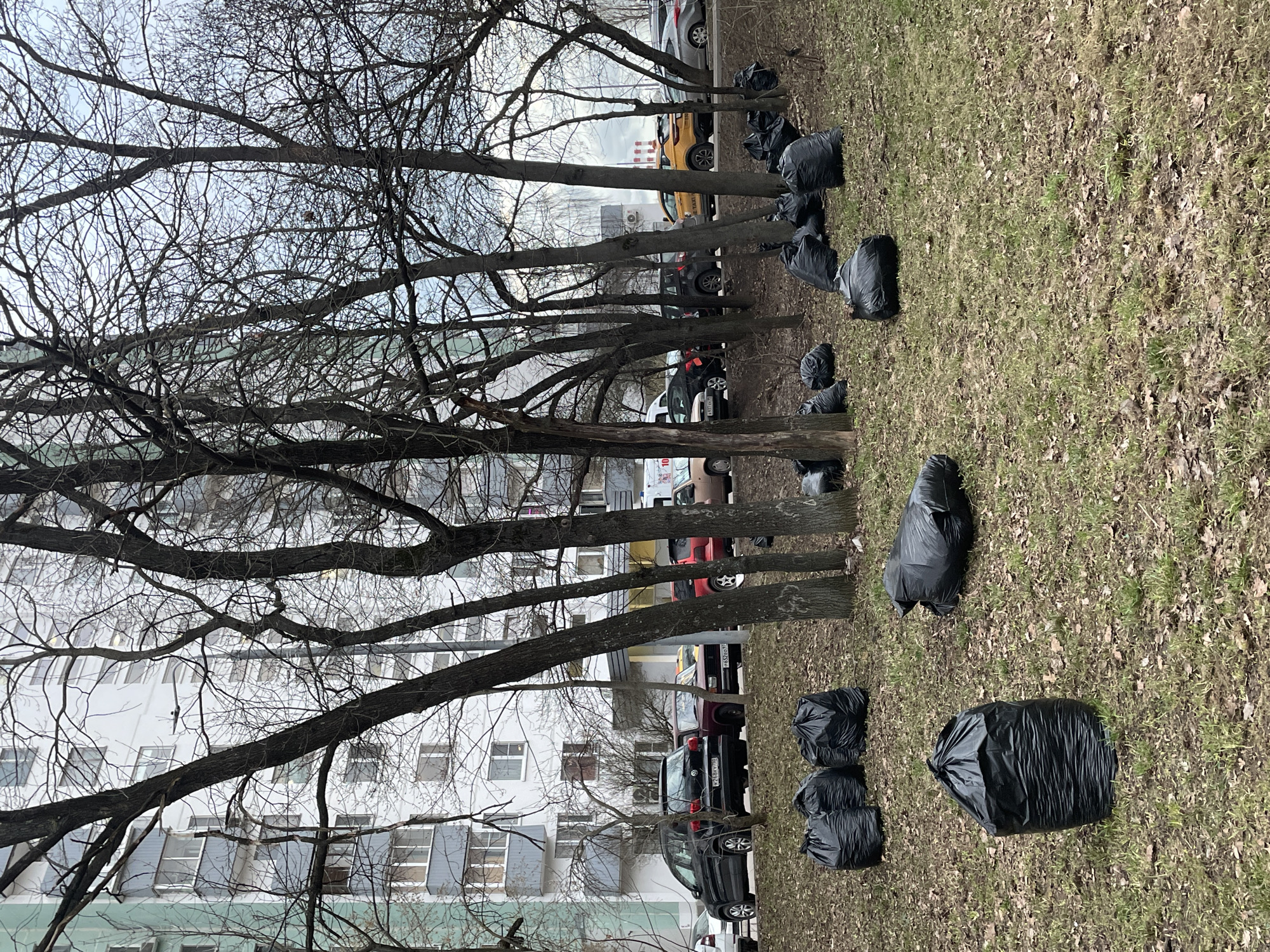 The image depicts a scene in Moscow, Russia, with a row of leafless trees lining a grassy area. Black trash bags are scattered on the grass. In the background, there is a multi-story apartment building with white walls and numerous windows. A row of parked cars, including a yellow taxi, is visible between the trees and the building. The sky is overcast.