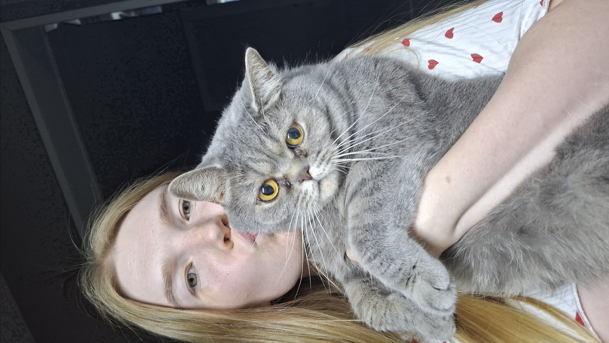A woman with blond hair is holding a grey British Shorthair cat. The cat is positioned in front of the woman's face, with the woman looking at the camera. The woman is wearing a white top with red hearts. The location is Chaikovsky, Russia, based on the available information. A dark textured background is visible behind them.