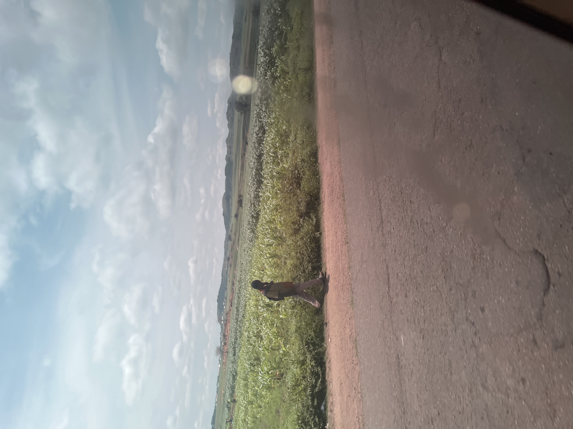 A solitary individual walks along a dirt road adjacent to a large field of green crops, possibly corn, under a partly cloudy sky. The individual is wearing light-colored pants and a dark shirt, with a backpack. In the distance, rolling hills and scattered structures are visible. The image appears to have been taken from a moving vehicle, as suggested by the blurred foreground and the reflective quality of the image. The scene suggests a rural setting in Kuru, Nigeria, likely during daytime.