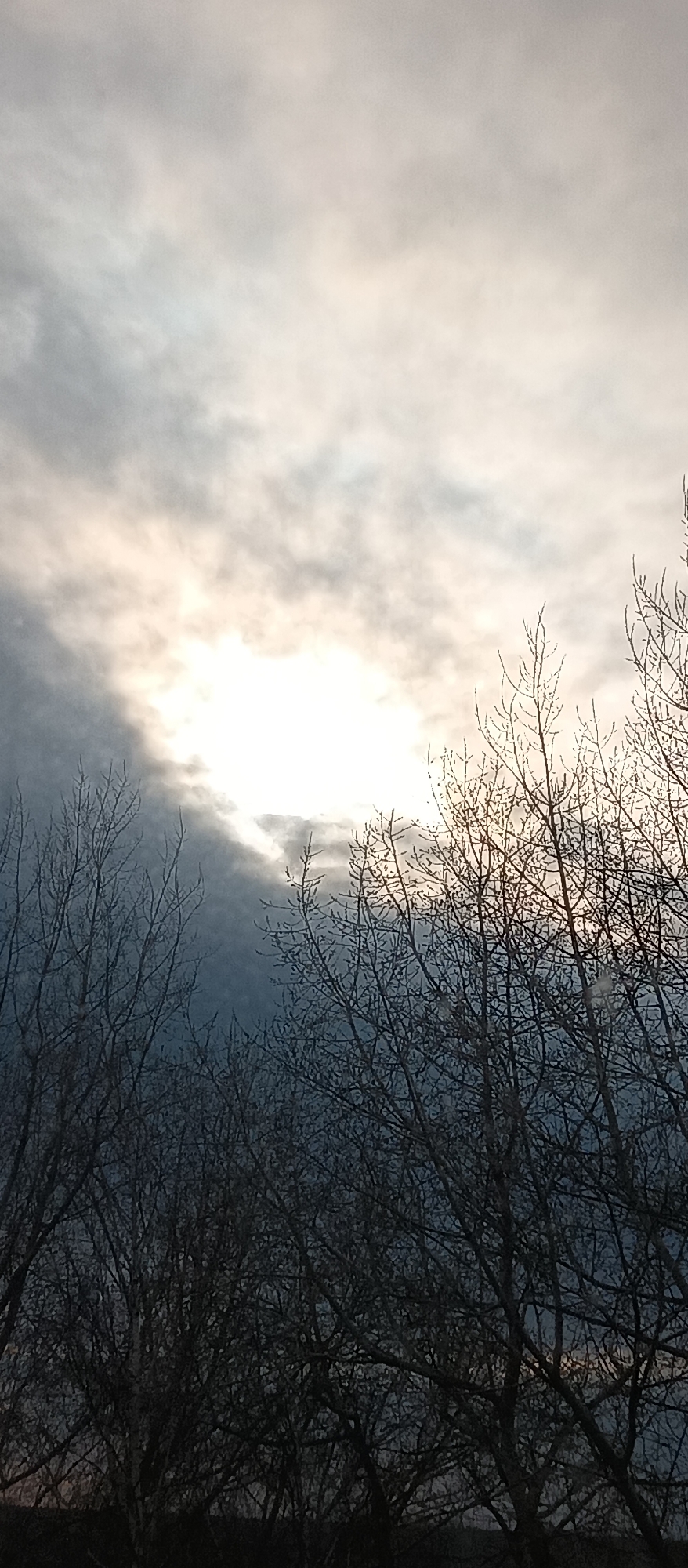 The image shows a view looking upwards at the sky through the bare branches of trees. The sky is overcast with a bright spot, likely the sun obscured by clouds. The branches are dark silhouettes against the lighter sky. The location is unknown, as the surrounding environment is not visible.