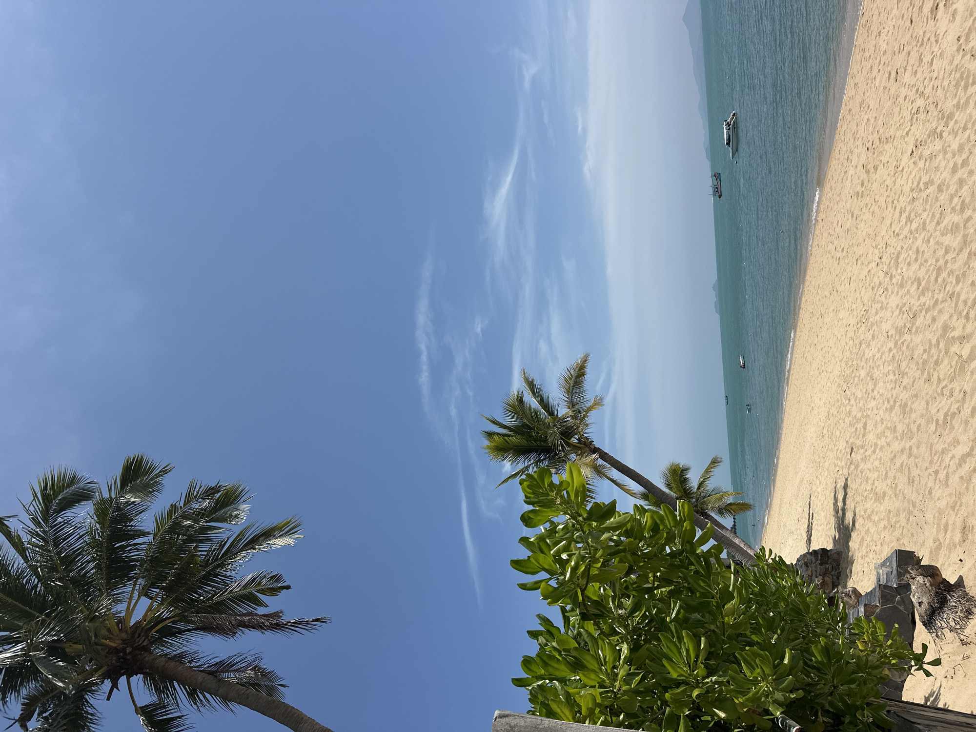 A tropical beach scene on a sunny day is depicted. The foreground features a sandy beach with a lush green tree and a leaning palm tree on the left. The ocean stretches out to the horizon, dotted with several boats, including a white speedboat and a larger fishing vessel. The sky is clear blue with wispy clouds. In the distance, islands or landmasses are visible on the horizon. The image was captured in the Ko Samui District of Thailand.