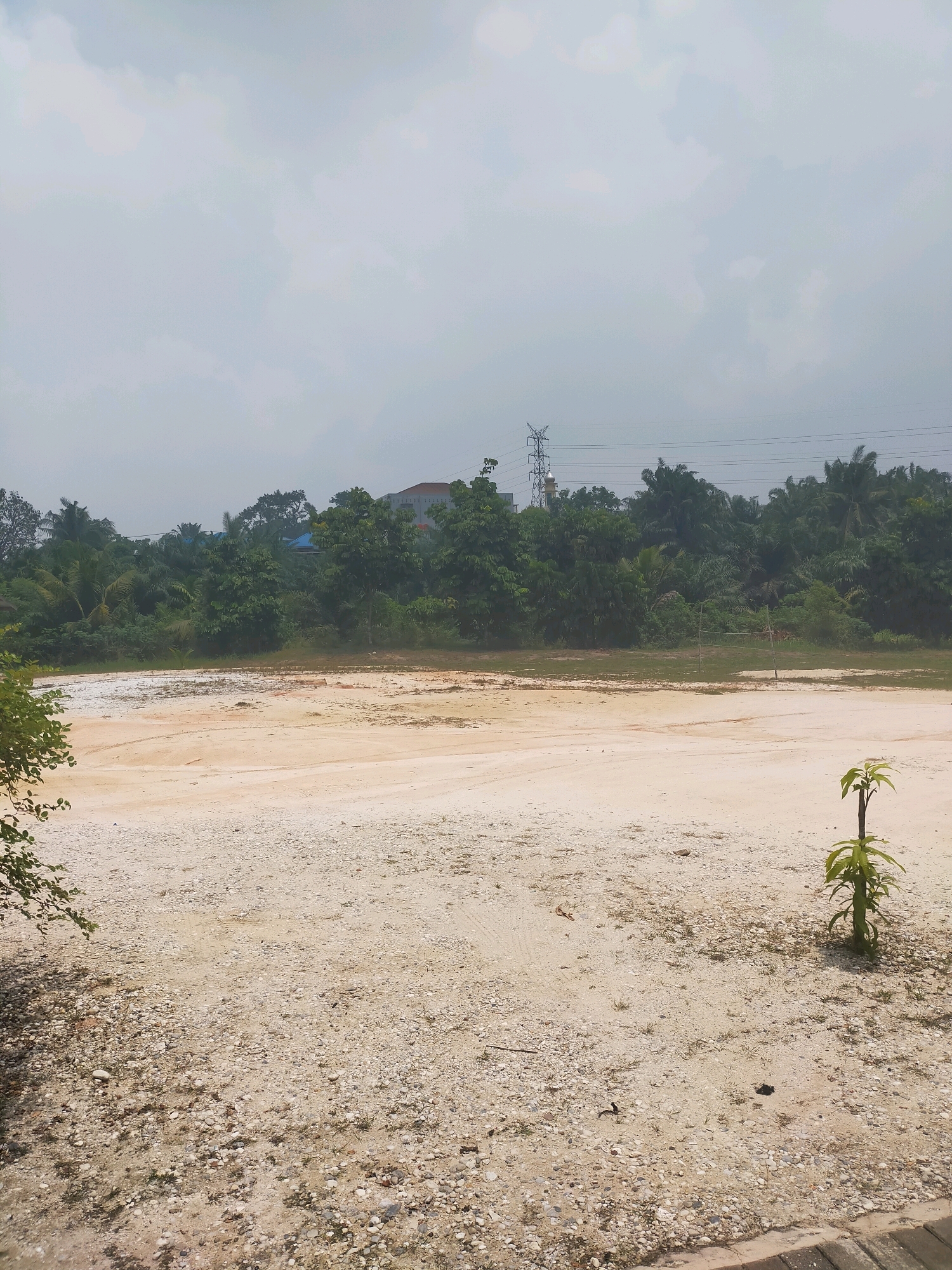 The image depicts an outdoor scene, likely on the outskirts of Pekanbaru, Indonesia, given the vegetation and overcast sky. The foreground is dominated by a light-colored, sandy, and gravelly ground, with a small sapling growing on the right side. A dark, possibly paved edge or border runs along the bottom right of the frame. In the mid-ground, there is a large, barren patch of light-colored earth, possibly an undeveloped plot of land or a construction site, showing some tire tracks. Beyond this, a dense line of tropical green trees forms the background, with glimpses of buildings and a tall electrical pylon visible through the foliage. The sky is overcast with grey clouds. No people are present in the scene.
