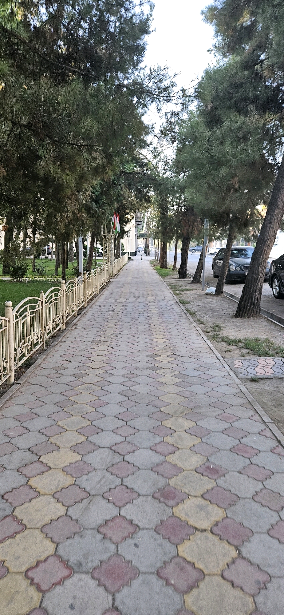 The image depicts a pedestrian pathway in the city of Dushanbe, Tajikistan. The pathway is paved with interlocking bricks in a pattern of grey, red, and yellow. A decorative white metal fence runs along the left side of the pathway, separating it from a grassy area with trees. On the right side of the pathway, trees line the street, and several parked cars are visible. In the background, flags are displayed on a pole, and buildings can be seen. The scene appears to be an outdoor public space, likely a park or a boulevard, with a moderate amount of greenery and evidence of urban infrastructure. The lighting suggests it is daytime.