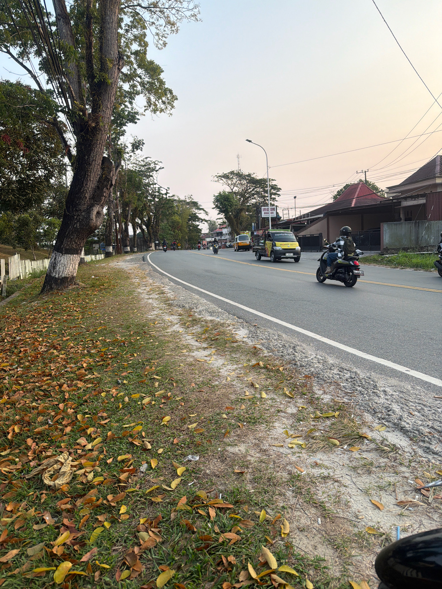 This image depicts a street scene in Balikpapan, Indonesia, likely during the late afternoon given the soft, warm light. The foreground shows a grassy verge covered in fallen brown and yellow leaves, indicating an autumn season or a period of leaf fall. A white wooden fence runs along the left side of the road, bordering the grassy area. A large tree with a thick, textured trunk, painted with white bands near its base, stands prominently on the left.
The road itself is paved and has yellow dividing lines. Several vehicles are visible: a yellow truck with a cargo bed is traveling in the oncoming lane, a motorcycle with a rider wearing a black and white checkered jacket and a backpack is in the right lane, moving away from the viewer. Other motorcycles are further down the road, also traveling in the same direction. Buildings with red-tiled roofs and brown facades are visible on the right side of the road, suggesting a residential or commercial area. Overhead, power lines are strung across the sky, and a street lamp is present. The sky is a pale, hazy gradient of blue and orange, consistent with sunset or sunrise.