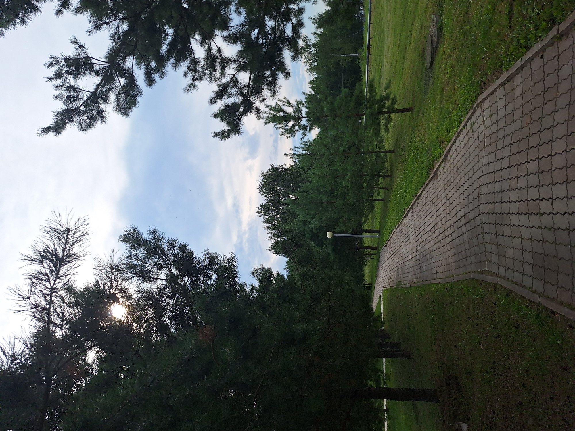 A paved walkway curves through a park-like setting, bordered by grass and trees. The walkway is made of interlocking gray concrete pavers and is illuminated by a lamp post visible in the mid-ground. Dense evergreen trees line the left side of the walkway, casting shadows and partially obscuring the sky. The right side of the walkway opens up to a grassy area with scattered younger evergreen trees and a line of mature trees in the distance, suggesting the edge of a wooded area or forest. The sky is partly cloudy with patches of blue visible. The overall impression is of a well-maintained outdoor space, possibly a park or public garden in Atamanovka, Russia, under a bright, overcast sky.
