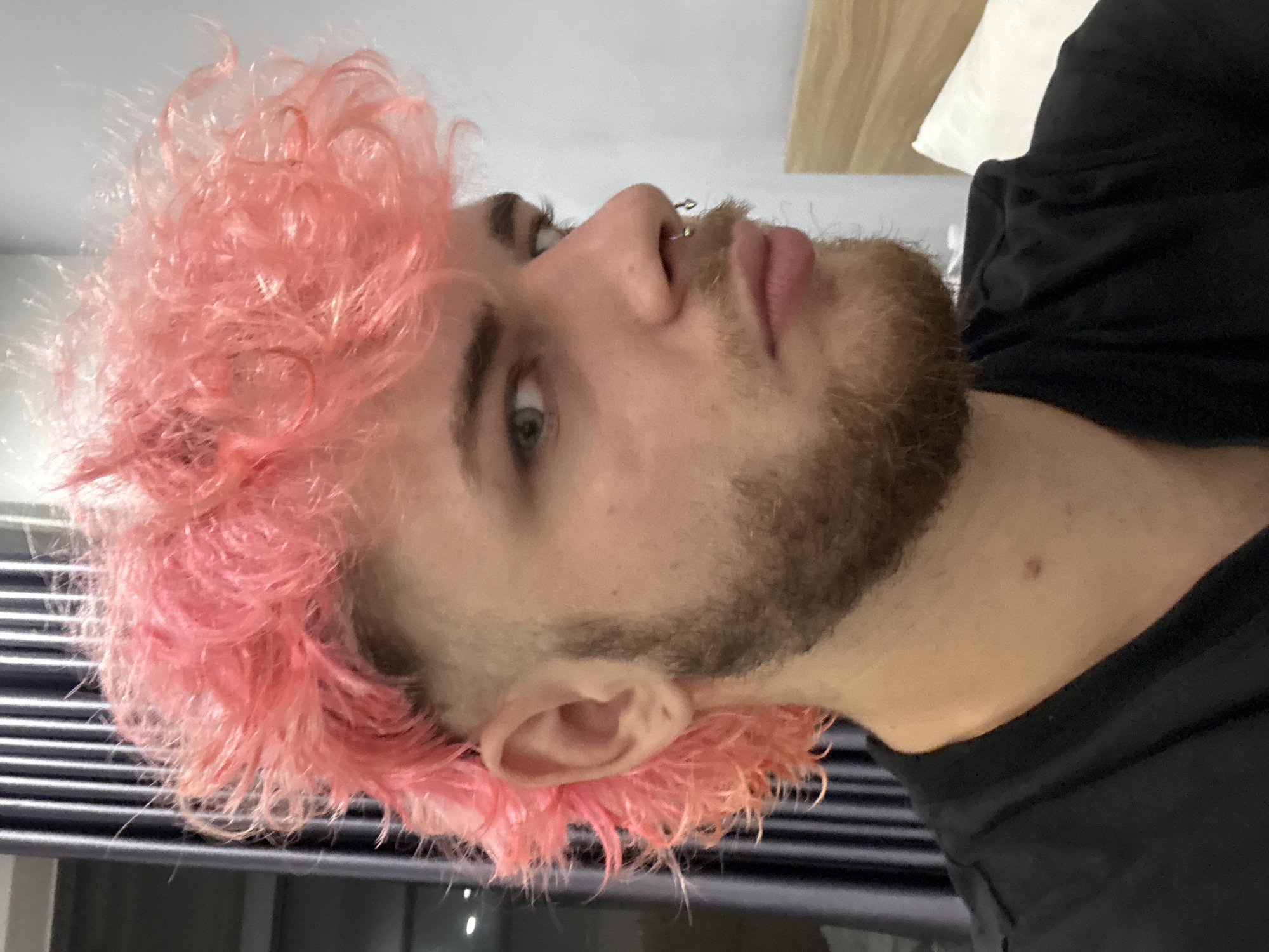 A man with light skin, a beard, and pink hair is visible. He has facial piercings. He is wearing a black shirt. The background appears to be indoors, potentially a bedroom with a bed and window. The image does not contain information about the city of Đà Nẵng, Vietnam.