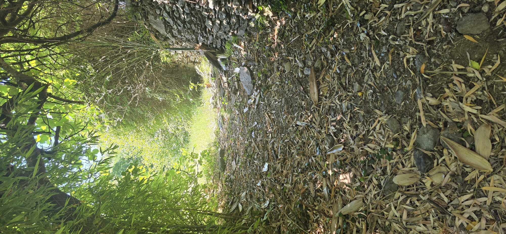 The image shows a pathway covered in dry leaves and small stones, leading into a dense, sun-dappled forest. To the right, a dry stone wall runs along the path. The foliage is lush and green, with bamboo plants visible on the left and trees overhead casting shadows. The path appears natural and unpaved, suggesting a rural or wilderness setting. There are no people or discernible man-made structures other than the stone wall. The overall impression is one of a secluded, natural environment.