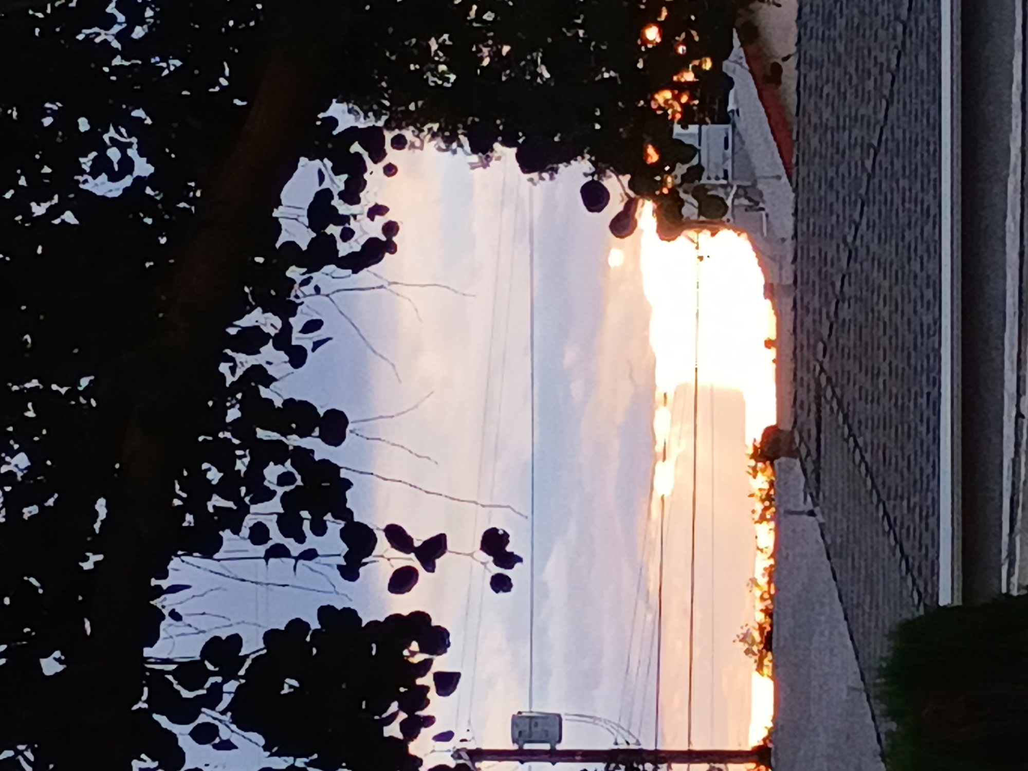 The image, taken from a low vantage point, captures a sunset view in what appears to be a residential area. The sun's intense glow is visible between buildings, suggesting an urban environment. Power lines stretch across the sky, further reinforcing this impression. Silhouetted tree branches frame the view, adding depth and a natural element to the scene. The colors of the sky range from pale blue to orange and yellow, indicating the time of day. While it is impossible to confirm the specific location as Los Angeles with only the provided image, the urban features and sunset colors are consistent with scenes that can be found throughout the city.