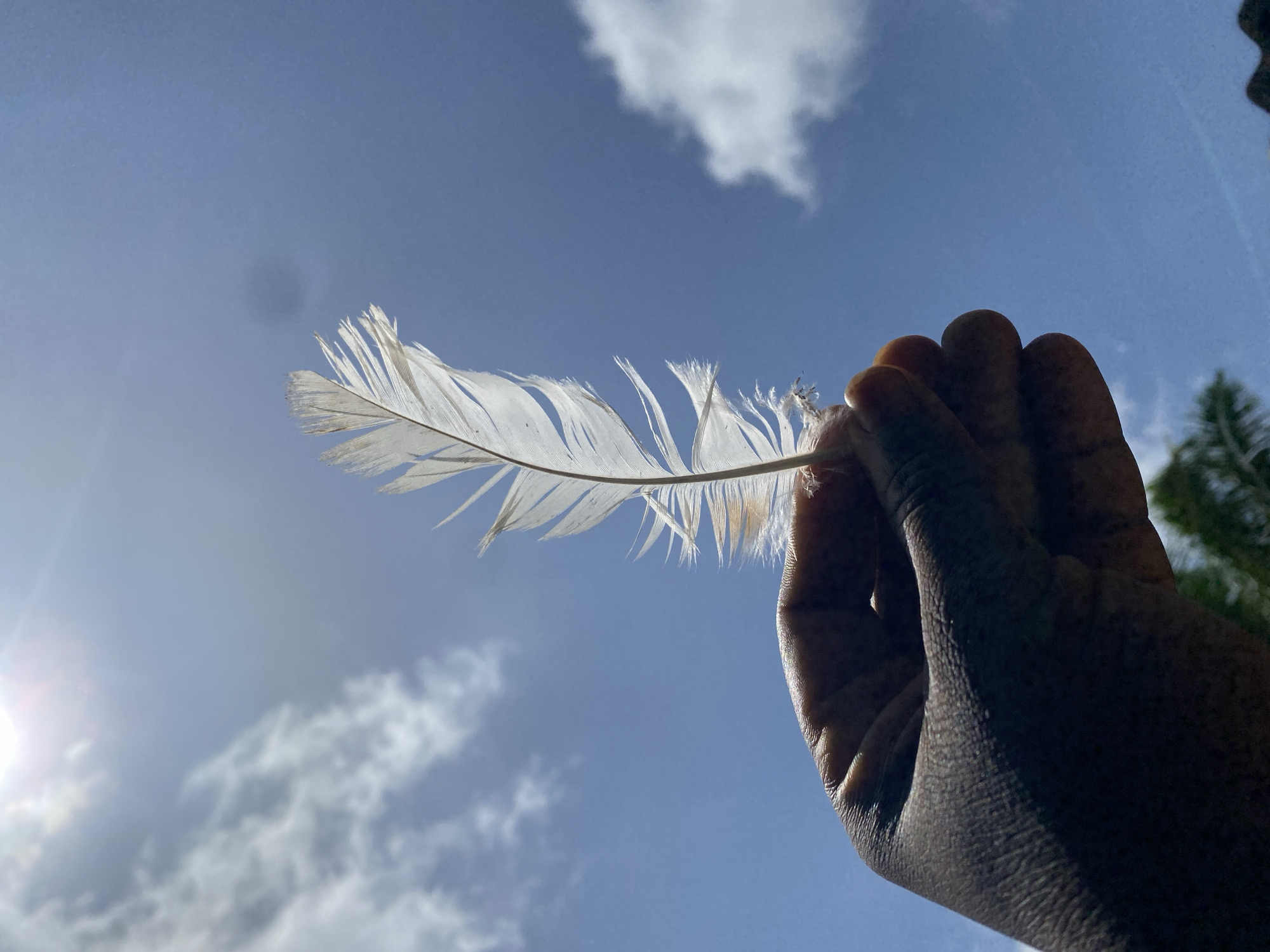 The image shows a hand holding a white feather against a blue sky with scattered clouds. The sun shines from the lower left, creating a slight glare. The hand appears to belong to a person of color. There are green trees visible at the right edge of the frame. The location is not confirmed to be Maigizo, Nigeria, as that detail is not directly discernible from the image.