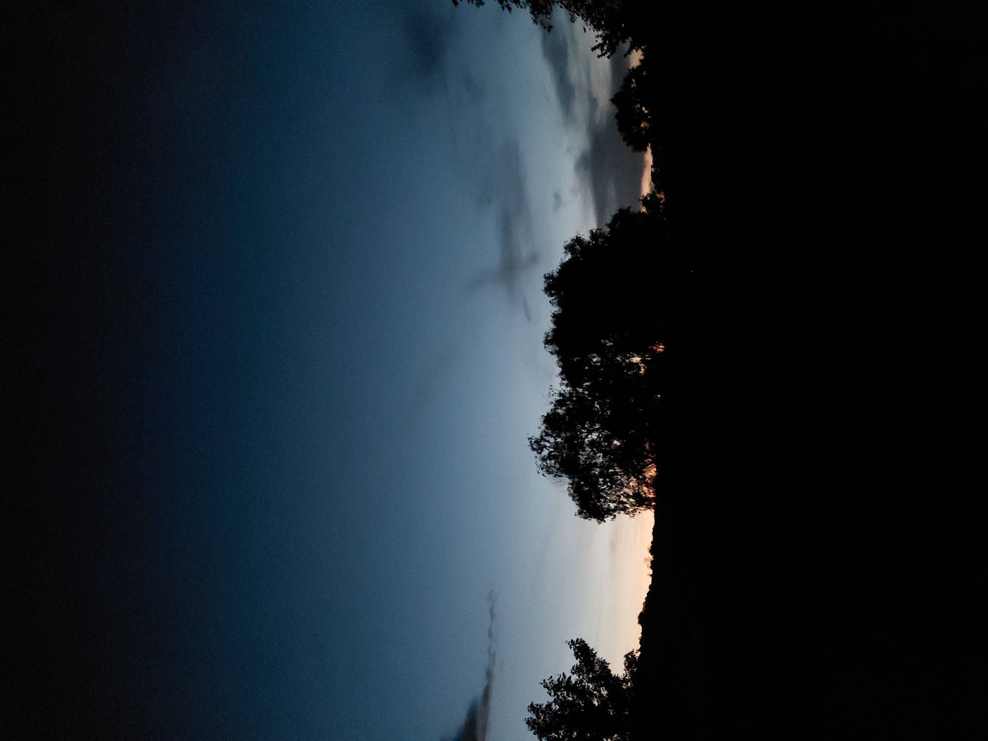The image depicts a rural landscape at dusk or dawn. The sky transitions from a deep, dark blue at the top to lighter hues of blue and grey near the horizon, with a faint hint of orange light visible just above the treeline. Silhouetted against the sky are the tops of several trees and a low, dark treeline or hill that spans the lower third of the image. The foreground is entirely black, obscuring any ground-level details. There are no people, structures, or discernible activities visible. The scene is one of natural twilight in an undeveloped area.