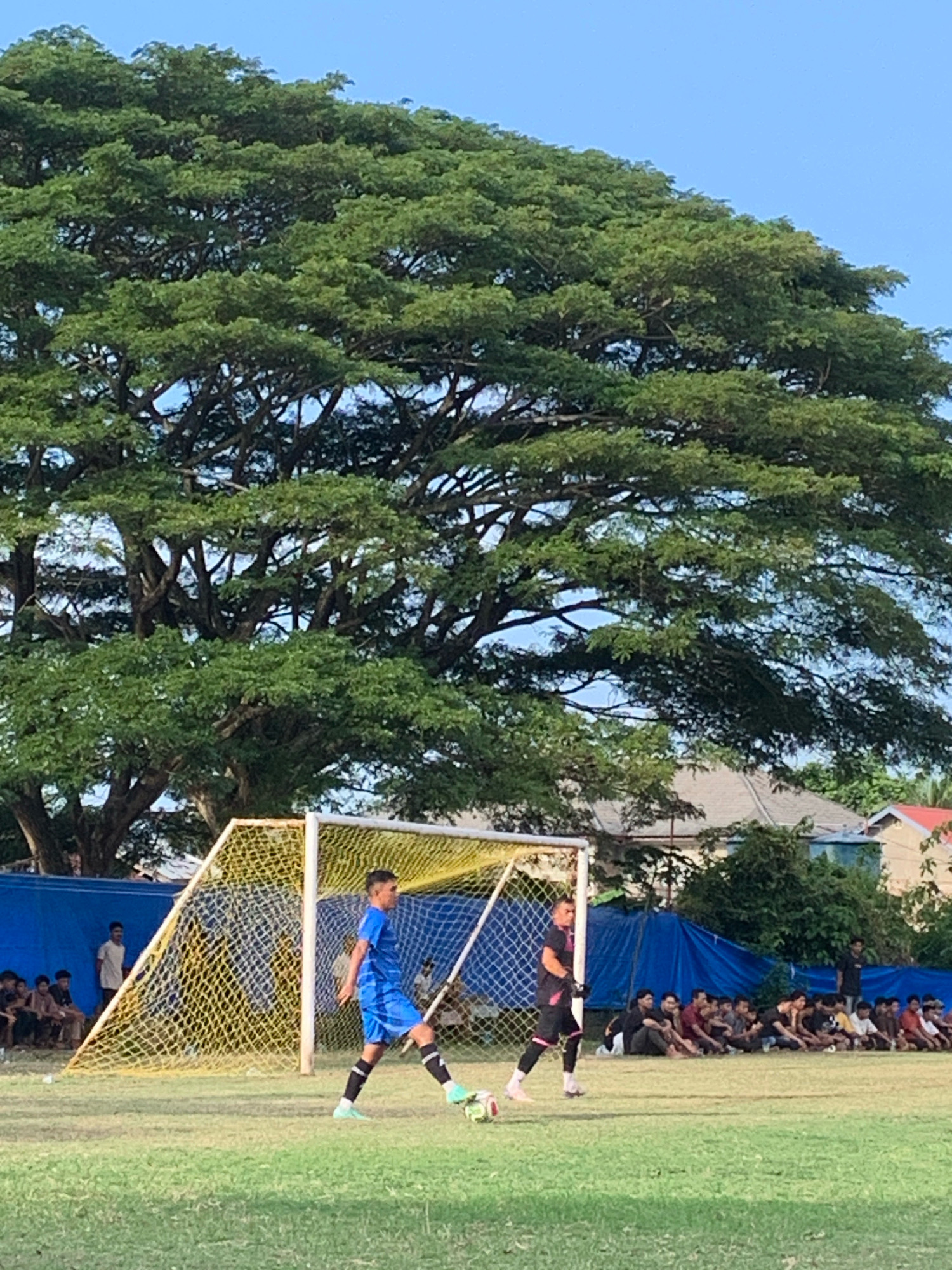 In the city of Keudelapang, Indonesia, a daytime outdoor soccer match unfolds on a grass field. The game is in progress, with two young male players visible. One player, wearing a blue jersey and shorts, is in the process of kicking a soccer ball near a goalpost. The other player, in a black and pink uniform, stands near the goal. Spectators are seated along the sidelines, with some individuals standing behind them. A large, leafy tree dominates the background, providing shade and a natural backdrop to the sporting event. The sky is clear and blue. The scene appears to be a local community event.