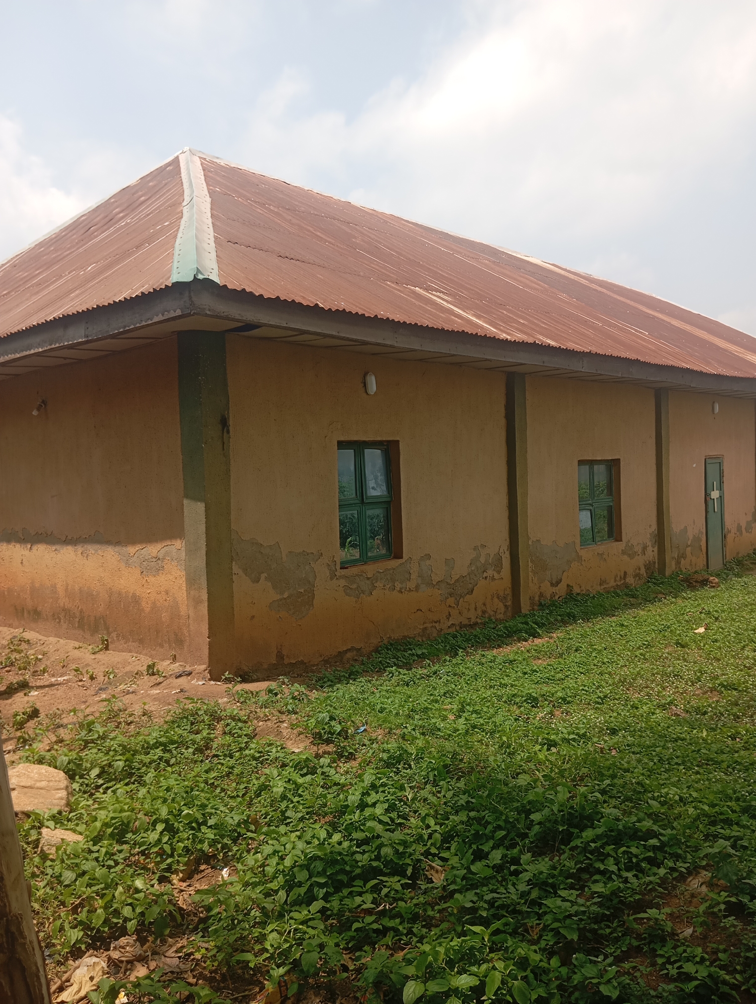 The image shows the exterior of a light brown, mud-walled building with a weathered, corrugated metal roof. The building has several windows with green frames and a green door. The walls show signs of wear and tear, with patches of plaster missing. Lush green vegetation, including grass and smaller plants, grows in front of and around the building. The sky above is partially cloudy. The setting appears to be an outdoor environment, possibly a rural or semi-urban area, given the building materials and the surrounding vegetation.
