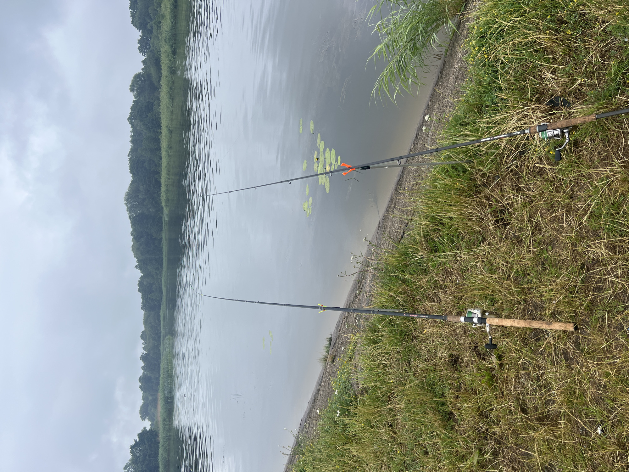 The image shows two fishing rods resting on the grassy bank of a body of water. The rods are positioned on the right side of the frame, angled towards the water. One rod is closer to the foreground and appears to be a spinning rod with a reel. The other rod is further back and also has a reel. In the water, there are lily pads scattered across the surface. The background reveals a lush green tree line along the opposite bank of the water. The sky appears overcast, suggesting a cloudy day. The scene is peaceful and depicts an outdoor activity, likely fishing. The location is identified as Skirvytė, Lithuania. No people are visible in the image. There is some text on the fishing rods but it is not clearly legible. The time of day is not discernible, but the overcast weather indicates it is likely daytime.