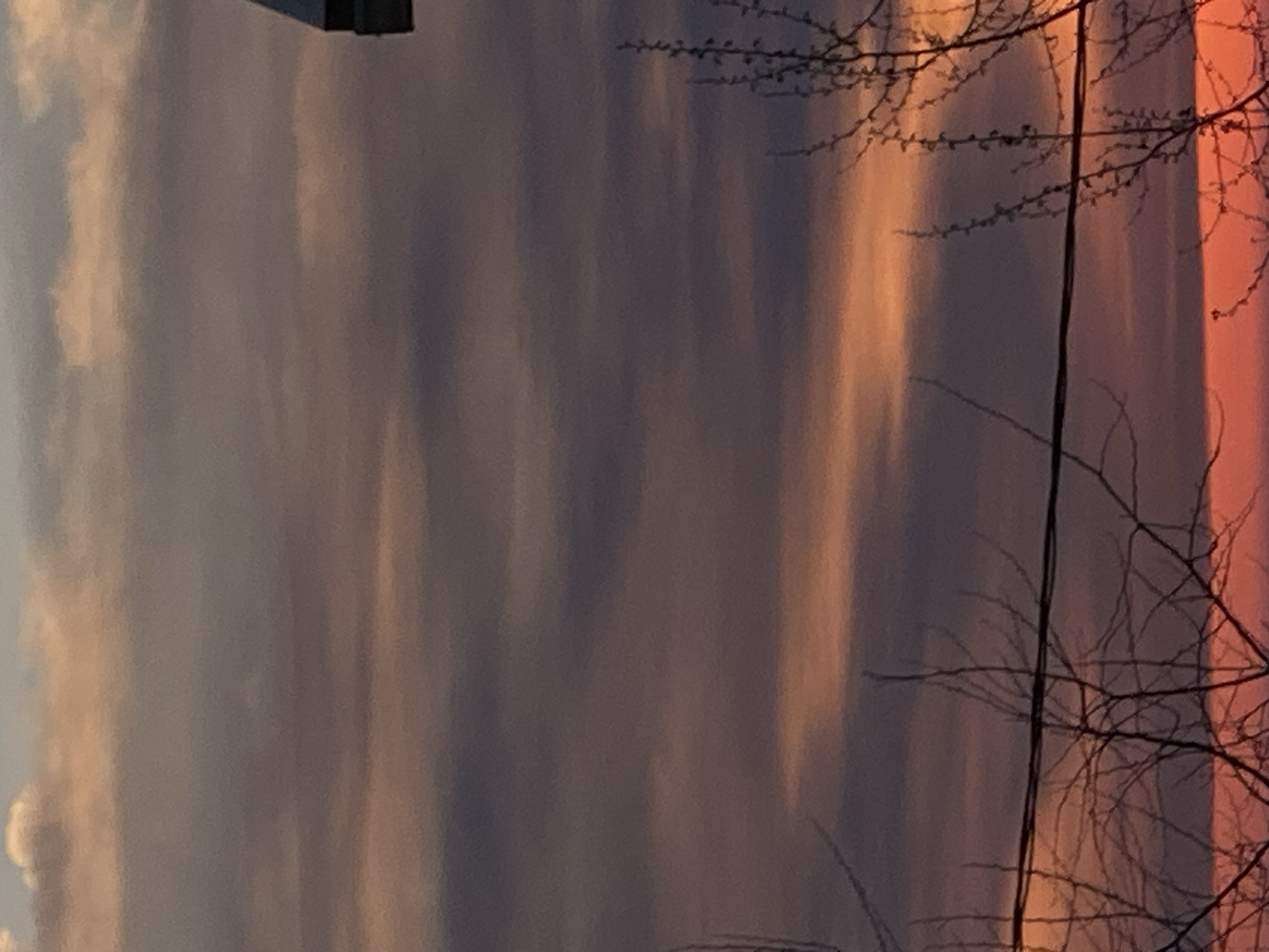The image, taken in Sochi, Russia, captures a vibrant sky during either sunrise or sunset, exhibiting dramatic atmospheric conditions. The sky is dominated by long, vertical bands of color. On the left, softer blues and light gray clouds are visible, transitioning towards the right into striking hues of orange, pink, and purple, interspersed with darker gray and subtle warm tones. These colorful bands suggest sunlight piercing through or reflecting off clouds, characteristic of the golden hour.
Silhouetted against this colorful backdrop, primarily on the right side of the frame, are the dark, intricate branches of a bare deciduous tree. A thin, dark, vertical line, likely a power line or cable, runs through these branches. In the upper left corner, a small, dark, angular structure, possibly part of a building or a fixture, is partially visible. The overall scene conveys a serene and picturesque moment, highlighting the natural beauty of the sky. No text is visible in the image.