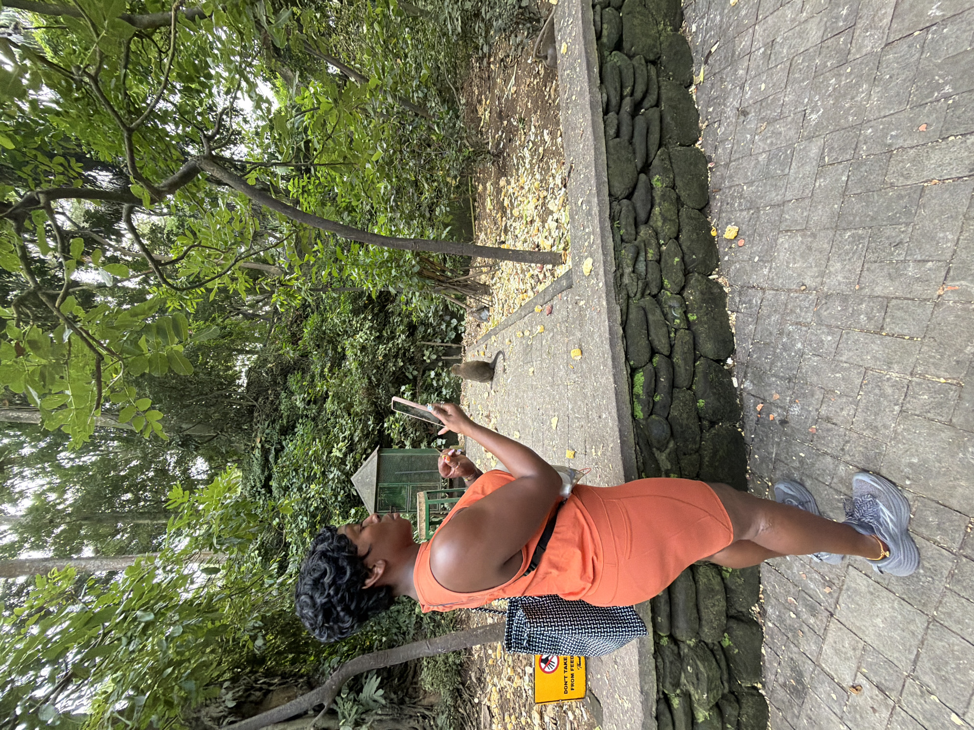 A Black woman wearing an orange sleeveless dress and grey sneakers is standing on a paved walkway, holding a pink smartphone in her right hand and looking at it. She has her hair styled in an updo. A black and white patterned tote bag hangs from her left shoulder. Behind her, on the left, is a yellow sign with a picture of a monkey and red text. A stone wall borders the walkway. In the background, several monkeys are visible. One monkey is sitting on the walkway in front of the woman. Another monkey is sitting on the ground in the distance, near some trees. The area is surrounded by lush green trees and foliage, with scattered leaves on the ground. A small green structure, possibly a shelter or cage, is visible in the middle ground. The scene appears to be an outdoor enclosure at a sanctuary or park in the city of Ubud District, Indonesia.
