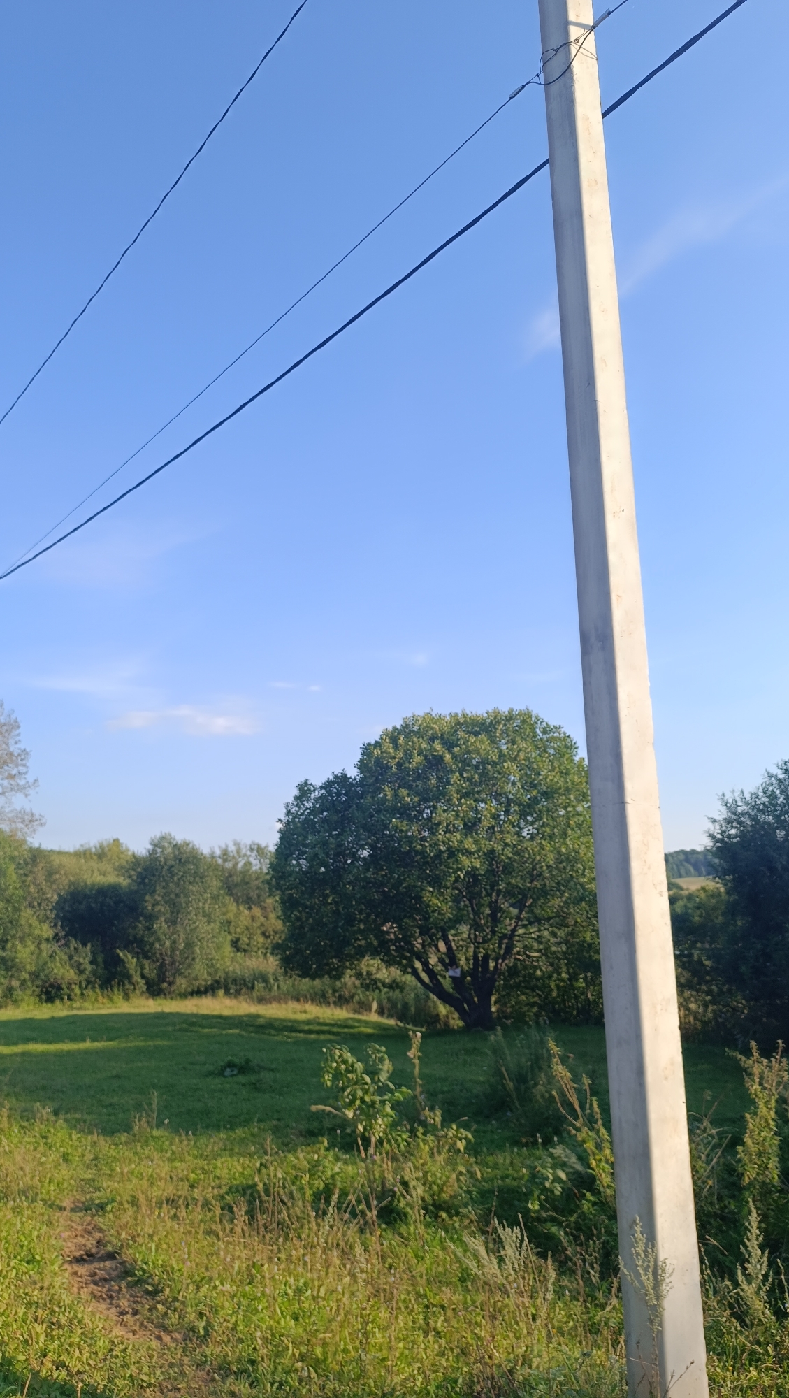 The image depicts a rural scene with a prominent concrete utility pole in the foreground, partially obscuring a large, leafy tree in the middle ground. The background consists of a lush, green field and a dense line of trees under a clear blue sky. The overall setting suggests a tranquil, natural environment. There are no people or animals visible in the image. The image appears to be taken during daylight hours, likely in the late afternoon or early evening, given the direction of the sunlight and the shadows cast. The location is identified as Karsha, Russia.