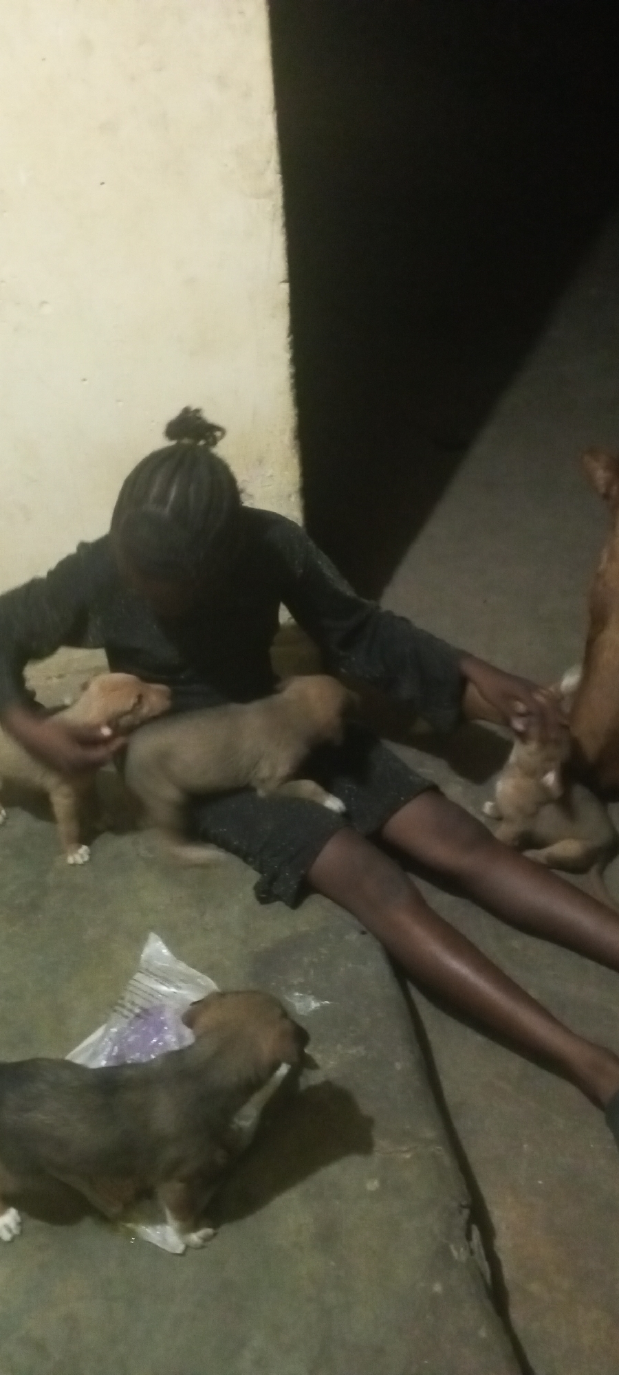 The image shows a person seated on the floor surrounded by several puppies. The location appears to be indoors, possibly against a wall. The person has dark skin and braided hair styled in a bun. They are wearing a dark-colored outfit with what seems to be reflective or shiny embellishments. Several light-colored puppies are on the person's lap and near their legs. Another puppy is on the floor near what appears to be a plastic bag. The lighting in the image is dim. The city and precise location are Unknown, Unknown.