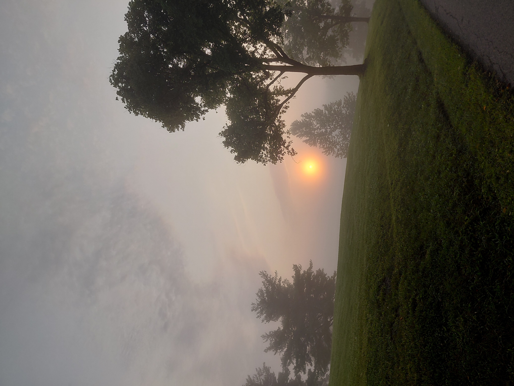 An image captures a foggy morning scene with the sun partially visible as an orange glow through the mist. A grassy hill slopes upwards to the left, with several trees silhouetted against the hazy sky. A paved pathway runs along the bottom right of the image. The environment appears to be a park or open green space, with no people or animals visible. The overall atmosphere is serene and subdued due to the fog. The location is identified as Versailles, United States.