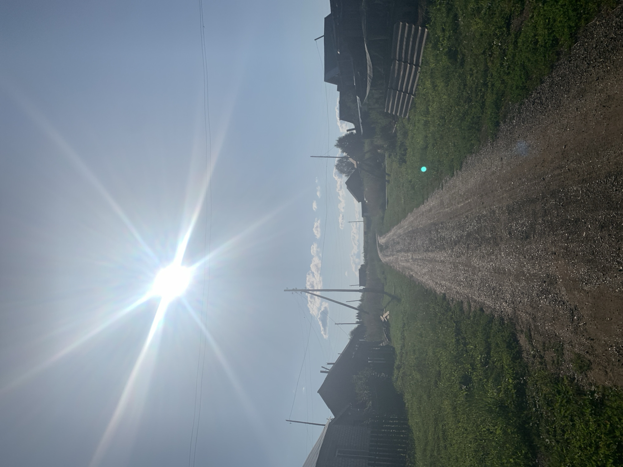 The image depicts a sun-drenched, rural scene in Panteleevka, Russia. A dirt road, appearing to be the primary path through a village, stretches into the distance, flanked by green grass and scattered residential structures. The sky is a bright, clear blue, with the sun prominently visible, casting a strong glare and creating lens flares across the upper portion of the frame. Several utility poles with wires are visible, suggesting the presence of infrastructure. On the left side of the road, a simple wooden fence encloses a property with a dark-roofed building. On the right side, a stack of wooden planks is piled against a fence. The overall impression is of a quiet, sunny day in a village setting.