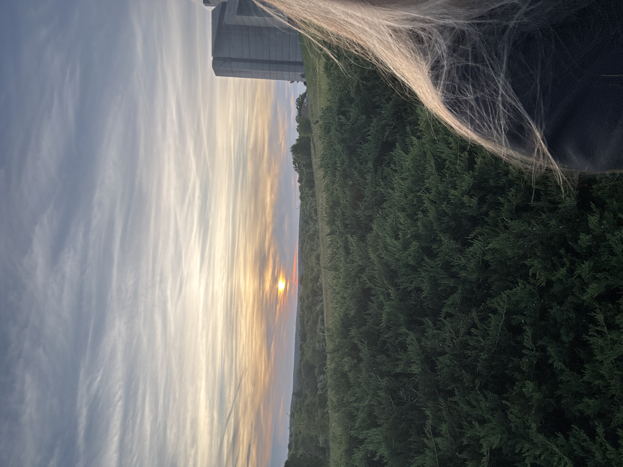 The image shows a landscape at sunset. The sky is filled with striated clouds, colored in shades of blue, gray, white, and orange around the setting sun. Below the horizon is a densely vegetated area with trees and bushes. In the upper right corner, there are strands of blonde hair. At the top left, a portion of a gray building is visible. The location is unspecified.