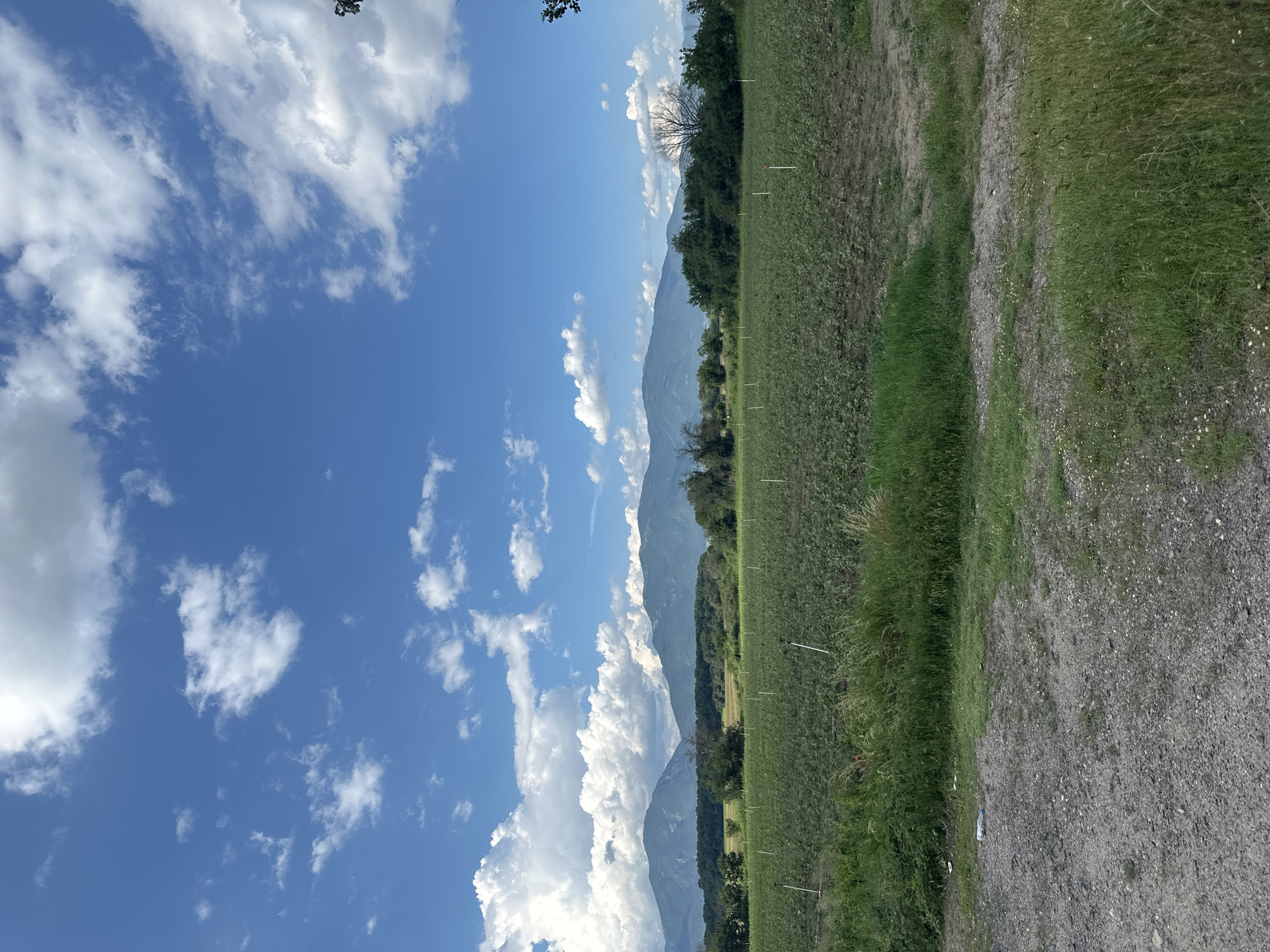 This media file depicts a rural landscape under a bright, cloudy sky. The scene is oriented vertically, suggesting it was taken with a phone in portrait mode and then rotated.
The main subjects are a vast expanse of sky filled with fluffy white clouds against a vibrant blue background, and a cultivated field that stretches towards a line of trees and mountains in the distance. The field appears to be planted with a low-lying crop, possibly agricultural in nature, with visible markers or stakes placed at intervals along its edge. To the right of the field, a gravel path or road is visible, bordered by grass and weeds. The background is dominated by layered mountain ranges, with the closest ones appearing green and forested, and those further away fading into a hazy blue.
The time of day appears to be daytime, likely mid-morning or afternoon, given the bright sunlight casting shadows and illuminating the clouds. The weather is fair and sunny, with scattered clouds contributing to a dynamic sky. The location cues, such as the cultivated field, mountains, and gravel path, suggest a rural or agricultural setting.
There is no discernible activity or event taking place; the image captures a static landscape. No people or animals are visible. There is no visible text within the frame. The overall mood evoked by the image is one of natural beauty, tranquility, and openness.