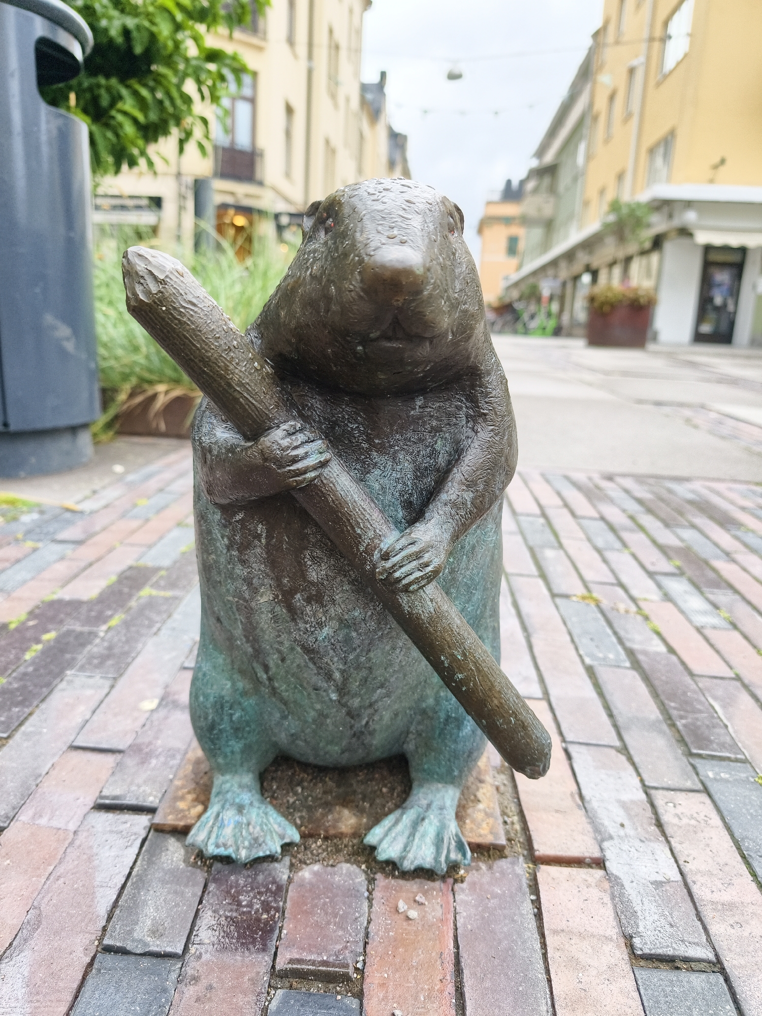 The image shows a bronze statue of a beaver holding a thick stick, located on a cobblestone street in Linköping, Sweden. The statue is positioned in the foreground, facing the viewer. The beaver is depicted with its forepaws wrapped around the stick, which is held diagonally across its body. The statue is weathered, with a greenish patina visible on its surface, indicating its outdoor placement. The background reveals a city street with buildings on either side. The buildings are painted in warm tones, with visible windows and awnings. Some greenery, likely trees or bushes, is present in the background, as well as a trash receptacle to the left of the statue. The cobblestone pavement is made of rectangular bricks laid in a pattern. The sky is overcast, contributing to the muted lighting of the scene.