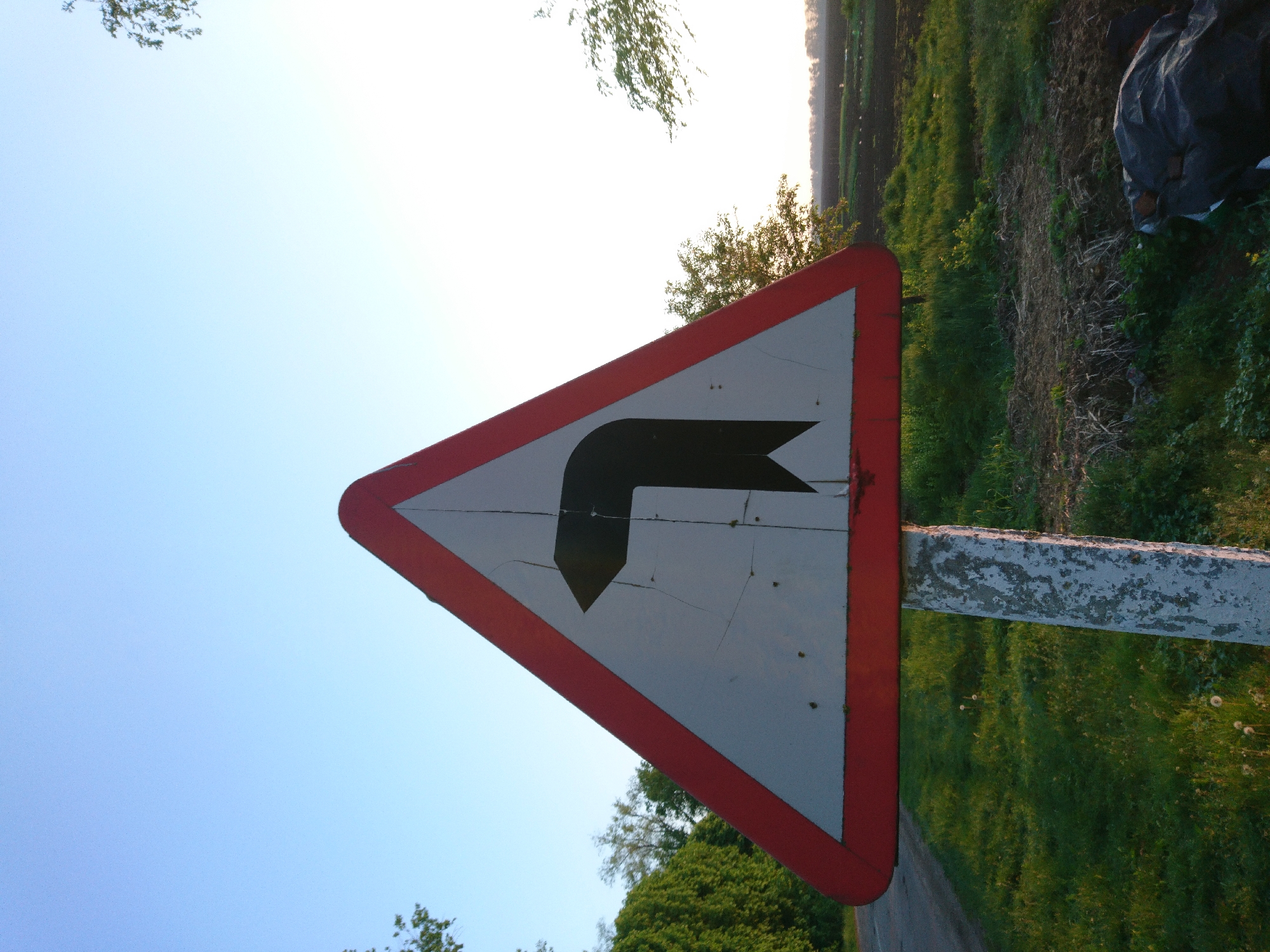 A triangular road sign with a red border and a white interior displays a black arrow turning sharply to the left. The sign is mounted on a weathered gray post. The background includes a blue sky, trees, and a grassy field.