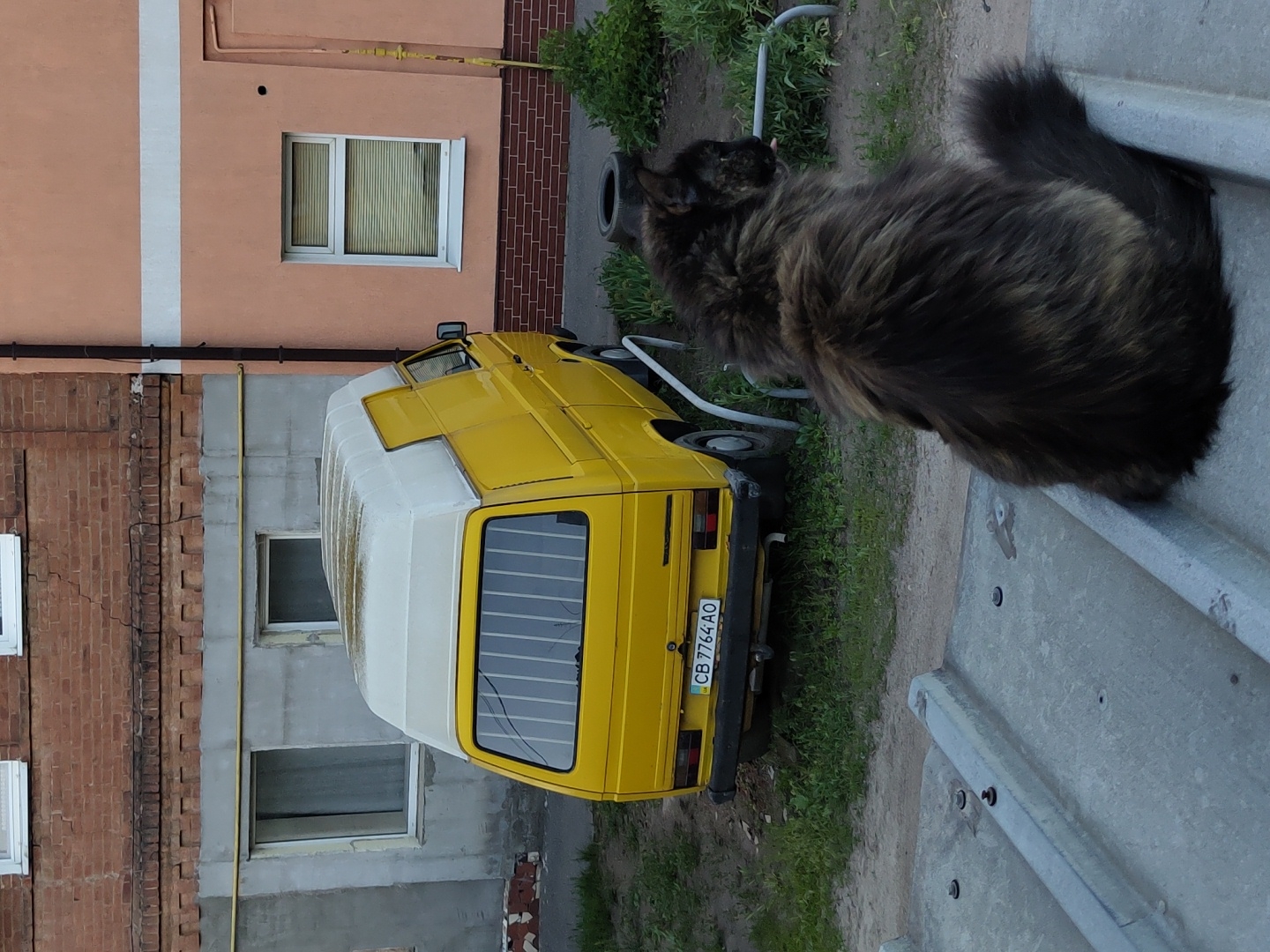 A medium shot depicts a yellow and white Volkswagen van parked on grass next to a sidewalk in Unknown, Unknown. Adjacent to the van, a large, long-haired cat sits on the sidewalk. The van's license plate is visible, reading "CB 7764 AO." Behind the van, a brick building with several windows is visible. The overall setting appears to be an urban or suburban environment.