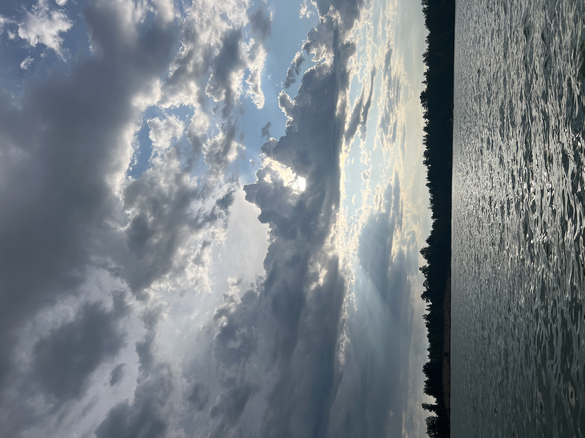 The image depicts a tranquil natural landscape with a body of water in the foreground and a treeline bordering a sandy shore in the distance. Above, a dramatic sky is filled with a mix of dark, heavy clouds and lighter, wispy formations. Sunlight pierces through gaps in the clouds, casting visible rays down towards the water. The water's surface is rippled, reflecting the sky and creating a shimmering effect. The treeline consists of numerous evergreen trees, forming a dense, dark silhouette against the horizon. No people, man-made structures, or animals are visible in the scene. The overall impression is one of natural beauty and atmospheric conditions. The specific location of Borovoe, Russia is not discernible from the visual elements alone.