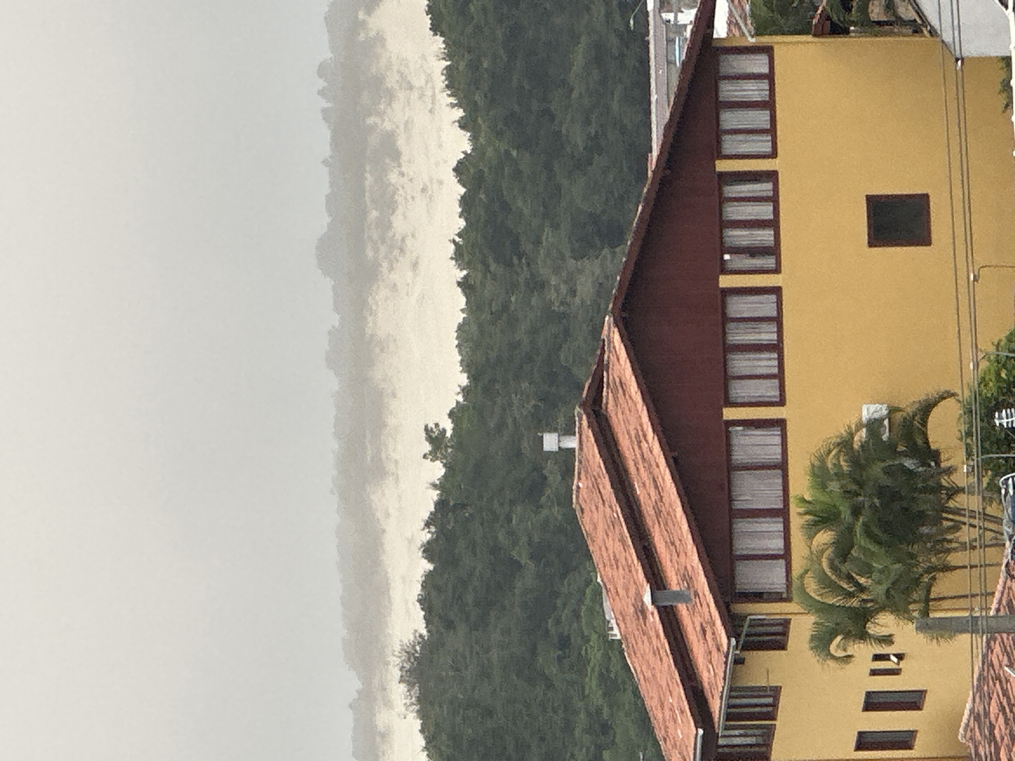 The image shows a yellow building with a red tile roof under a hazy sky. The building has multiple windows with white curtains and a few smaller dark windows. There are palm trees in front of the building. In the background, there is a dense green forest that gives way to sand dunes and then a light-colored sky. The scene appears to be a residential or commercial area, possibly near a beach given the sand dunes. Based on the context provided, this image is located in Florianópolis, Brazil.