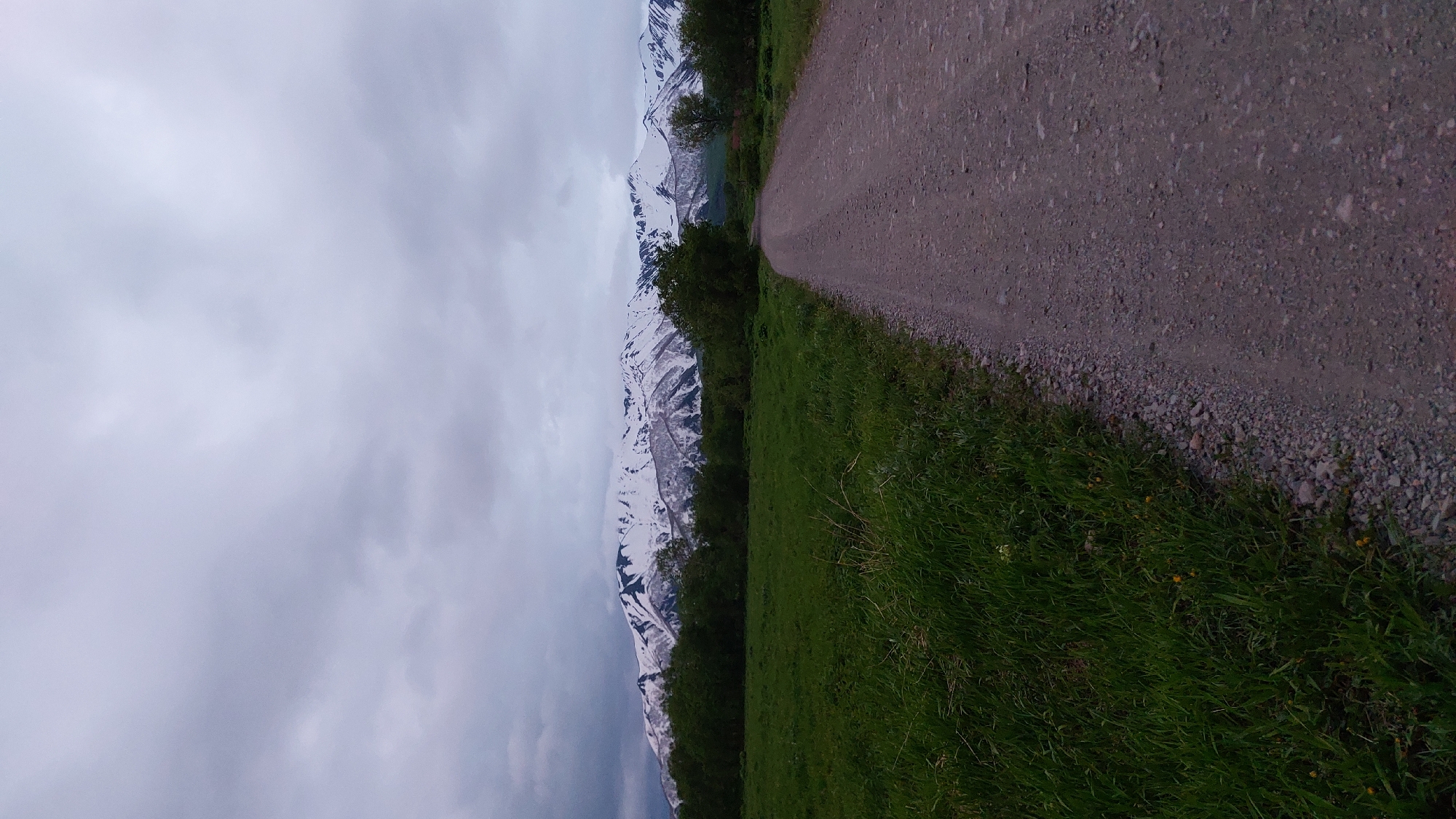 This is a landscape photograph of a gravel road leading towards a snow-capped mountain range under a cloudy sky. To the left of the road is a grassy field with scattered trees and bushes. The mountains in the background are jagged and imposing, with patches of snow visible on their peaks and slopes. The sky is overcast, with heavy gray clouds obscuring any direct sunlight. The scene is serene and natural, suggesting a remote or wilderness area. The location is not specified within the city of Лесной, Russia.