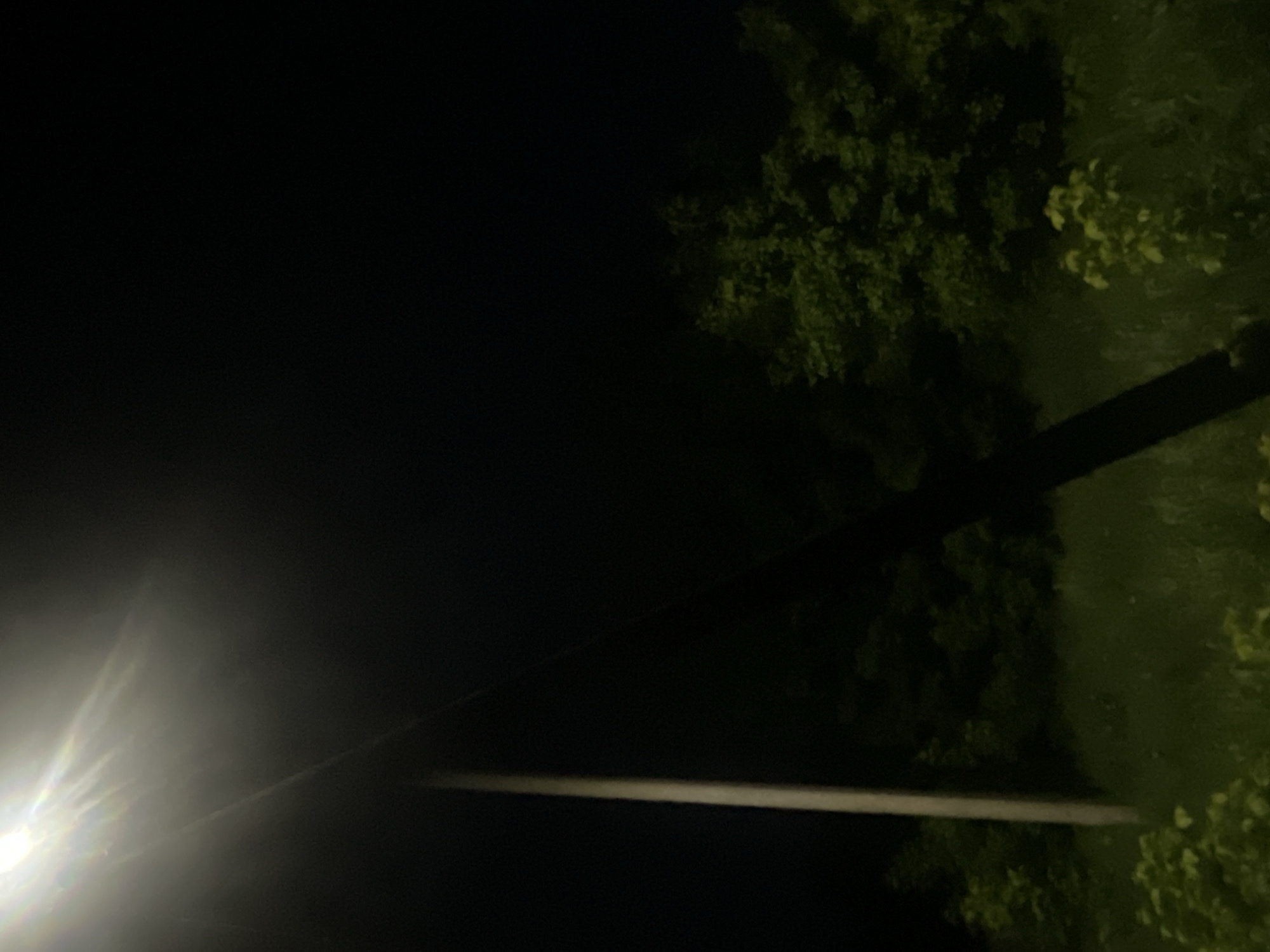 The image captures a dark, outdoor night scene, likely in Красные Баки, Russia. A prominent, bright white light source, possibly a street lamp, emits strong lens flares and streaks of light from the bottom-left corner of the frame. This artificial illumination cuts through the otherwise black sky. A pale, horizontal pole or cable stretches across the lower-middle section of the image, appearing directly lit by the primary light source.
To the right and upper-right, dark green foliage, consistent with trees or bushes, is visible. The low light conditions render these natural elements as deep shadows with hints of green. A dark, vertical object, resembling a pole or a tree trunk, stands on the far right side of the image, partially obscured by the foliage. The scene appears static, with no visible people or activities taking place. The clear blackness of the sky indicates it is nighttime. There is no discernible text.
