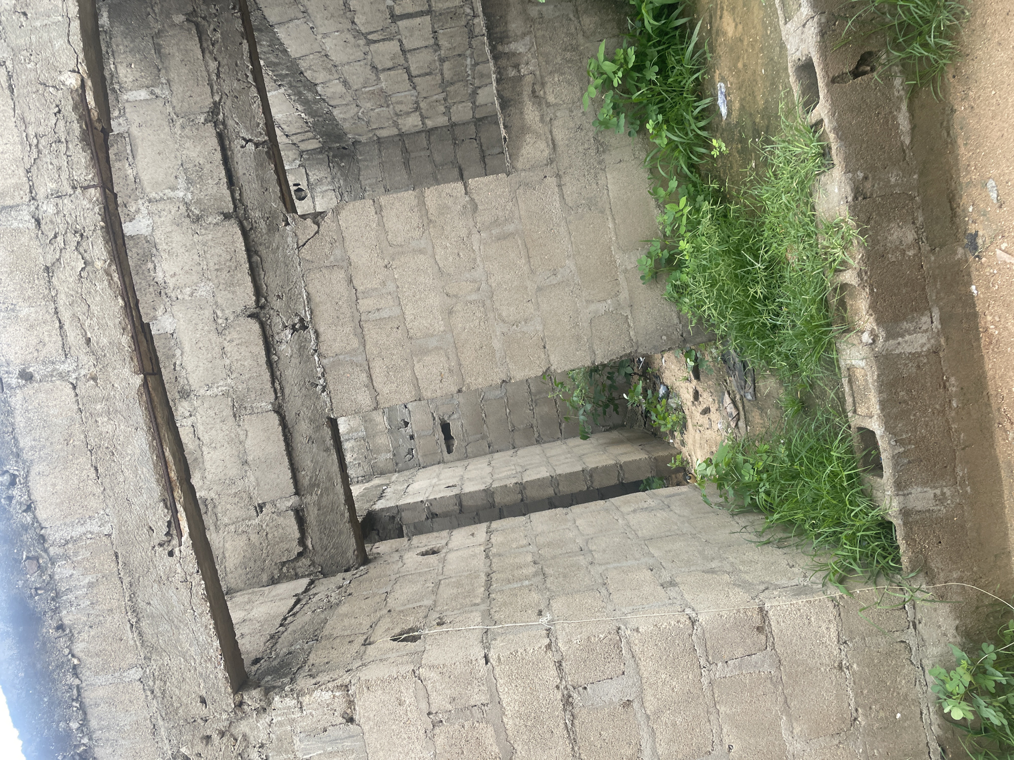 The image depicts the interior of an unfinished building in Jalingo, Nigeria. The walls are constructed from rough, grey concrete blocks. In the foreground, a low wall made of concrete blocks lines the perimeter, with several of these blocks having openings. Lush green grass is growing around and through these openings, as well as in patches within the building's interior. A thin white string or wire is visible hanging from the wall on the left side of the frame. The building appears to be in a state of disrepair, with exposed concrete beams and a rough, uneven ceiling. The ground inside is a mixture of dirt and some debris. The overall impression is one of an abandoned or incomplete construction project.