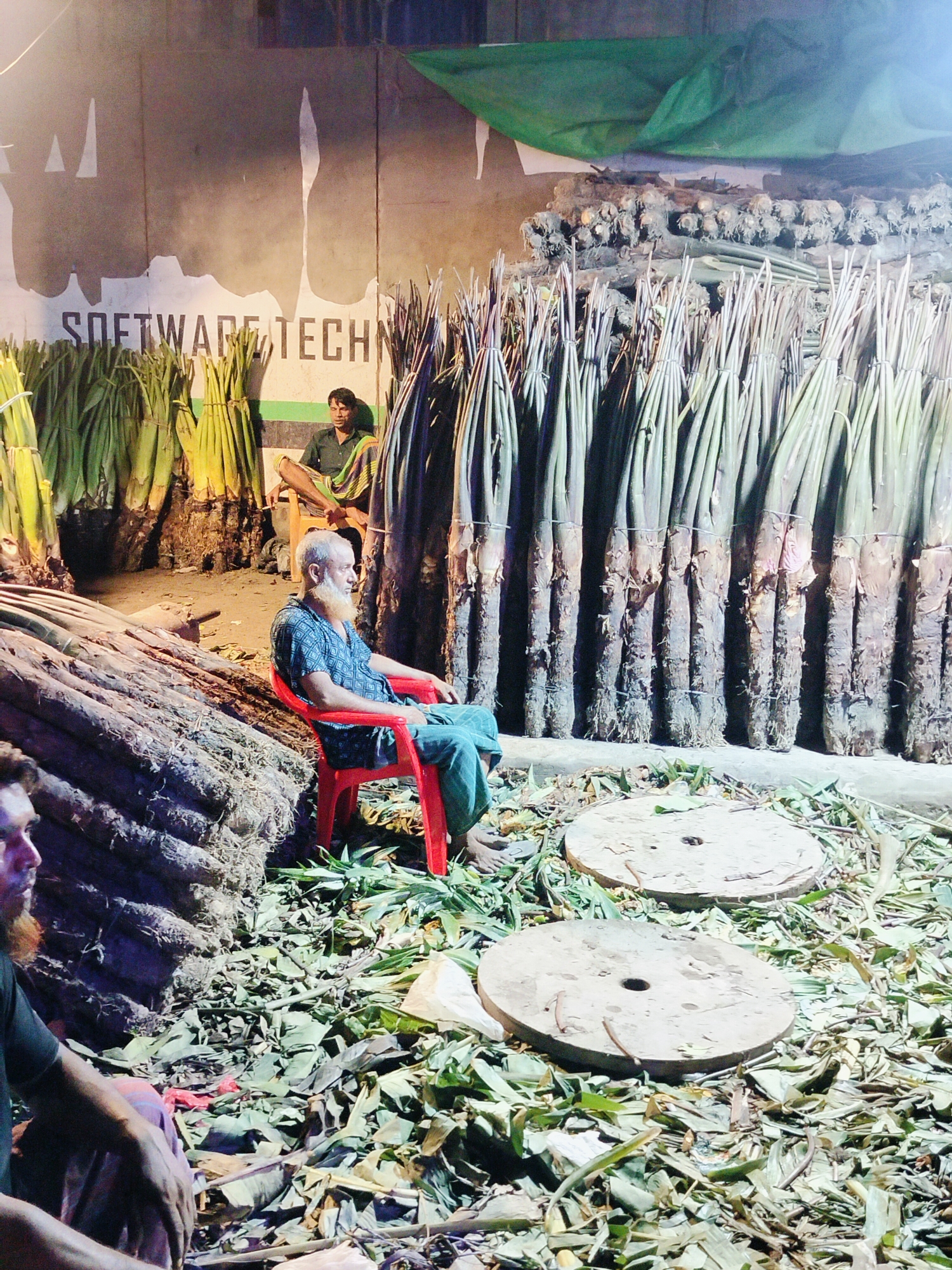 A middle-aged man with a white beard and blue patterned shirt sits in a red plastic chair. He is wearing green pants. He is in an outdoor marketplace, likely in Dhaka, Bangladesh, judging by the context. He is surrounded by large stacks of harvested banana plants. The ground is littered with dried leaves and debris. In the background, another man in a dark shirt and checkered lungi sits on a stool. Behind the banana plants, there are more stacks of what appear to be banana plant stalks or large roots. Two large, round, flat objects resembling wooden spools or bases for machinery lie on the ground in front of the man in the red chair, partially covered by leaves. The overall impression is of a temporary stall or storage area for agricultural produce, possibly during a market day or harvest season. The lighting suggests it is either dusk or night, with artificial lights illuminating the scene. The wall behind the men has a faded "SOFTWARE TECH" sign.