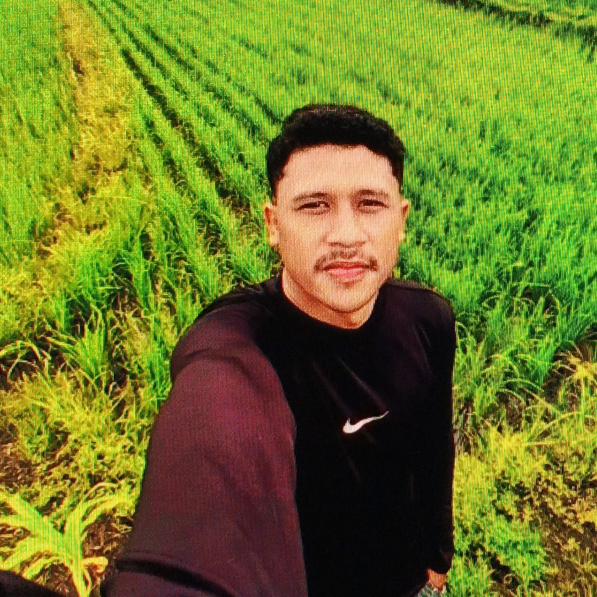 The image shows a young man with dark hair and a mustache, wearing a black long-sleeved shirt with a white Nike logo. He is standing in a lush green field, likely a rice paddy, given the characteristic rows of vegetation. The background is a vibrant green, suggesting a rural or agricultural setting. The man is looking directly at the camera, and his left arm is extended, indicating he is likely taking a selfie. The image has a slightly pixelated quality, possibly due to the camera used or image compression. The environment appears to be outdoors, with natural light illuminating the scene. There is no visible indication of the city of Ende, Indonesia, within the image itself.
