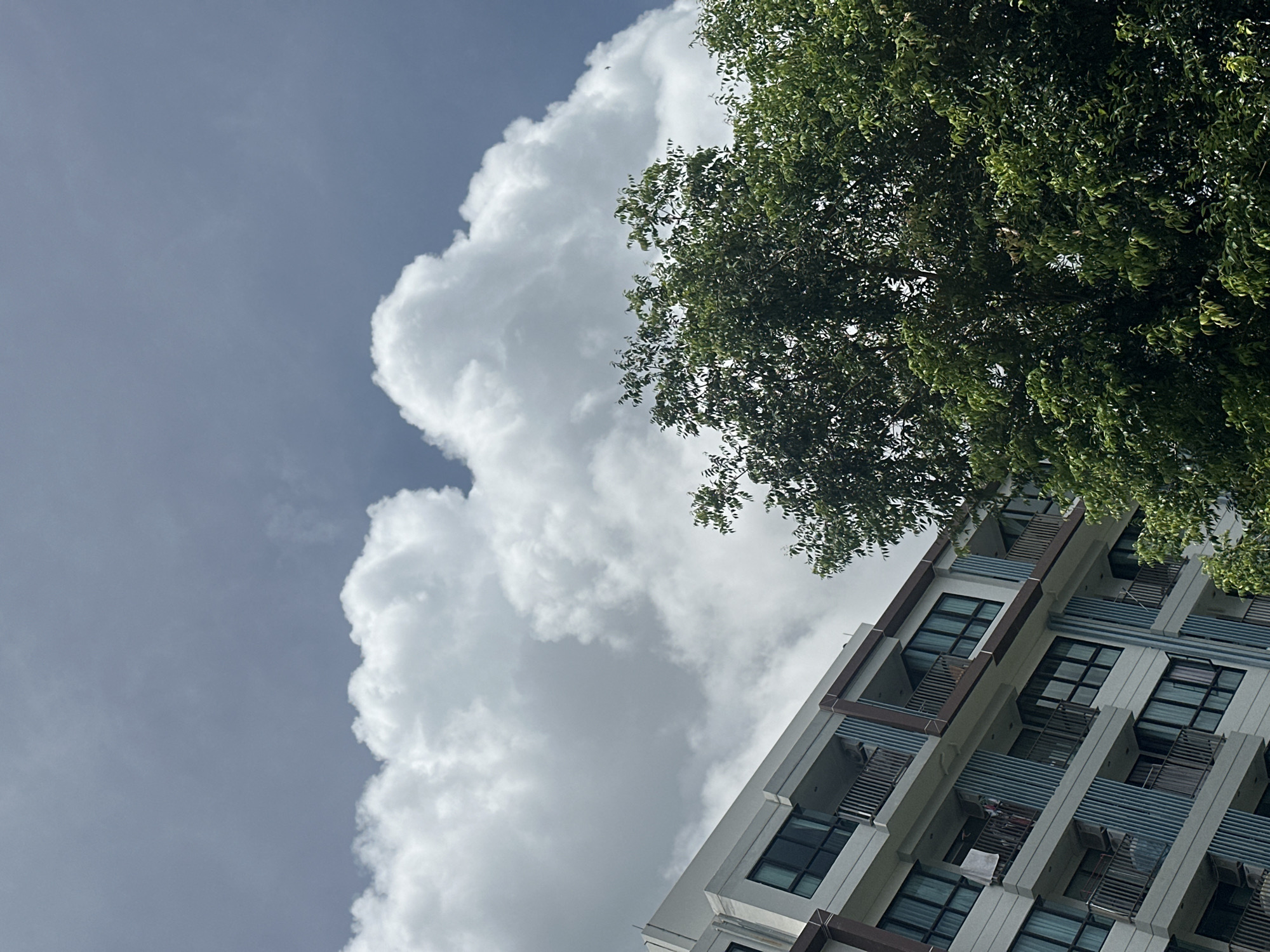 A low-angle, tilted shot shows a modern apartment building and a lush green tree against a partly cloudy sky in Wichit, Thailand. The building, constructed with white and brown accents, features multiple balconies with dark-framed windows and vertical blue-striped panels. A white clothesline with laundry hangs from one of the balconies. The tree, positioned to the right of the frame, is full of dense foliage. The sky above is a mix of dark and light gray clouds with patches of blue.