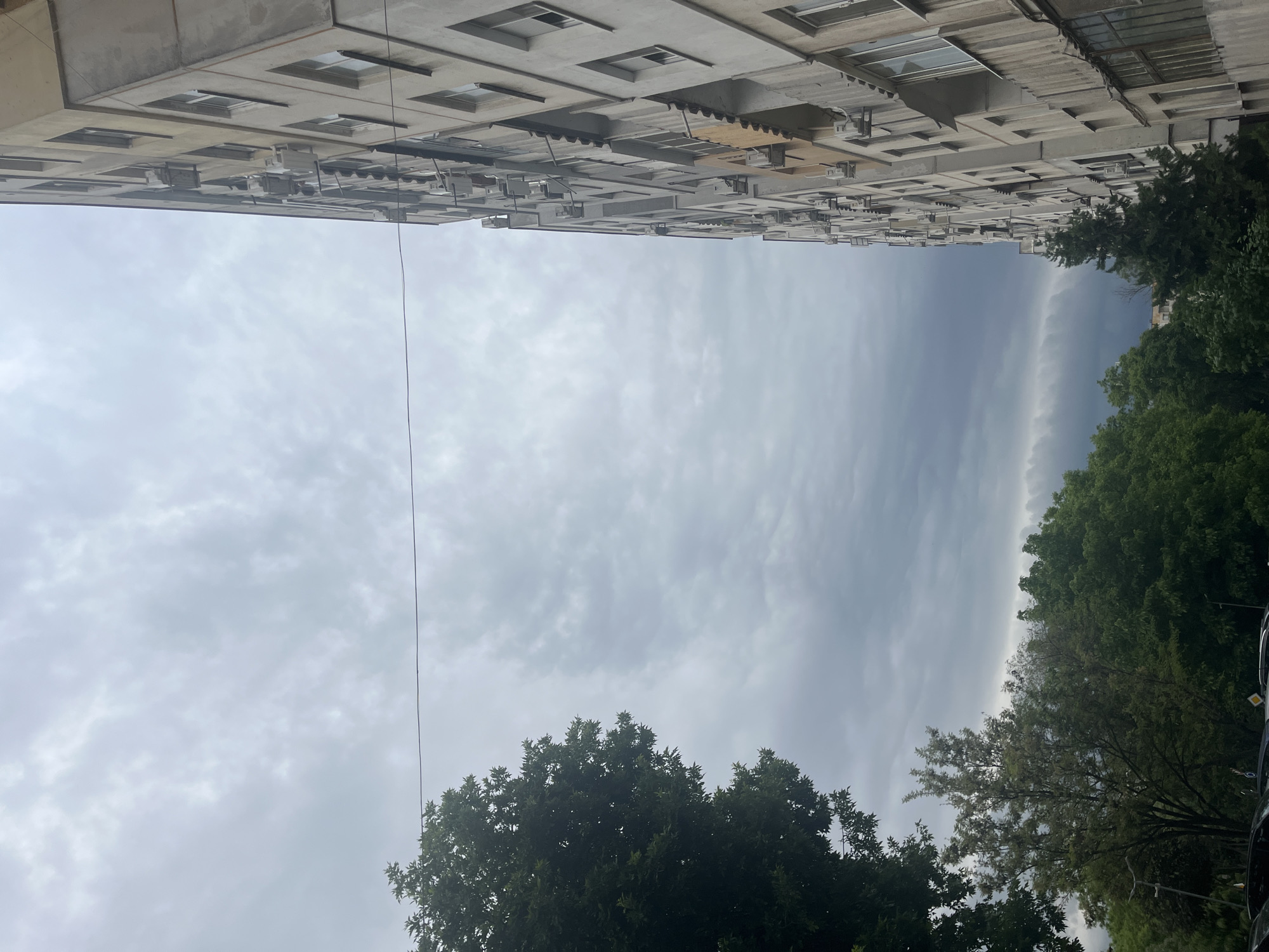 A street-level view looking up between two buildings in Plovdiv, Bulgaria. The buildings are gray concrete, possibly apartments, with multiple rectangular windows and ledges. The sky is overcast, with a band of darker clouds visible between the buildings. Mature green trees are visible on either side, obscuring some of the sky and the buildings' edges. A thin black electrical wire runs across the frame. The photograph is oriented with the buildings appearing upside down.