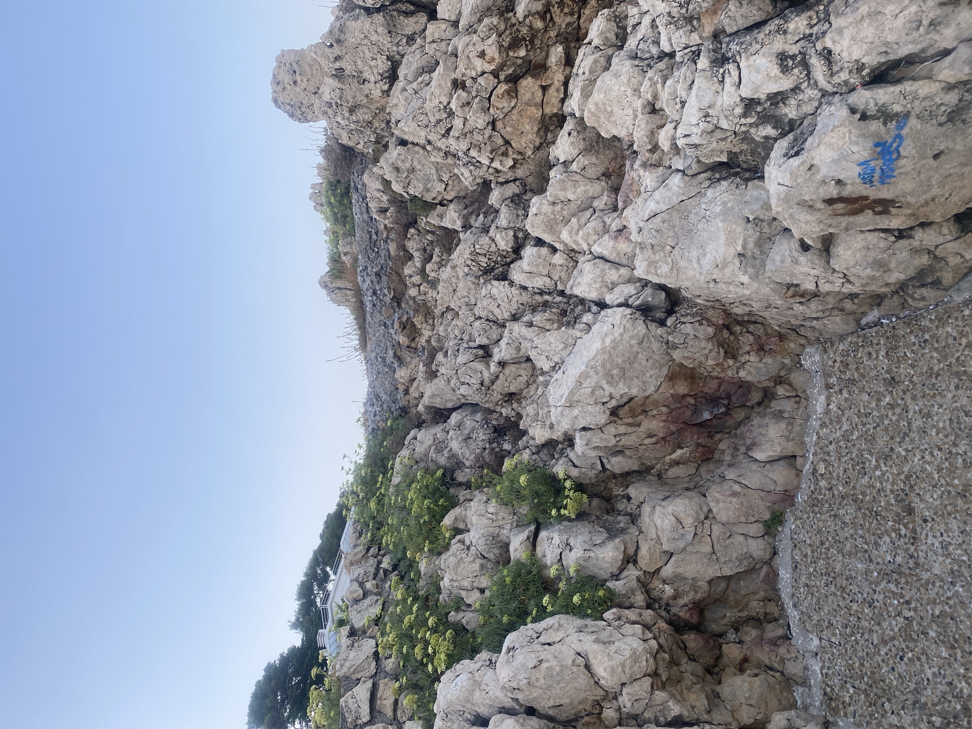 The image depicts a rocky, uneven terrain with sparse vegetation, likely a coastal area near Antibes, France. The foreground features a textured surface, possibly a path or a constructed area made of small pebbles. The dominant feature is a formation of large, weathered rocks with visible cracks and fissures, some showing reddish-brown staining. Scattered green plants with small yellow flowers grow in patches amongst the rocks. In the upper background, a clear blue sky stretches out above a ridge lined with trees. A modern building with white railings and a sloped roof is partially visible amongst the trees on the left side of the image. Blue graffiti is visible on some of the rocks in the mid-ground. The overall impression is of a natural, somewhat rugged landscape adjacent to a developed area.