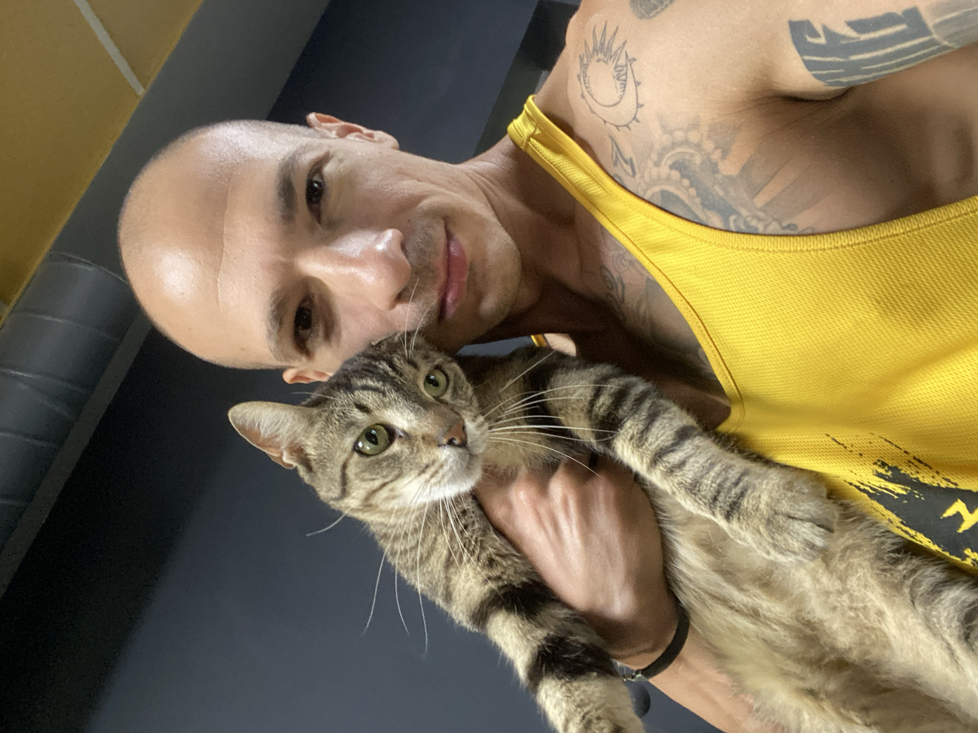 The image shows a close-up selfie of a bald man holding a tabby cat. The man is wearing a yellow tank top and has tattoos on his arms and shoulder. The cat is looking at the camera with green eyes. The background is dark, with some industrial-looking pipes visible at the top. There is no indication of the location being in the city of Pleven, Bulgaria.