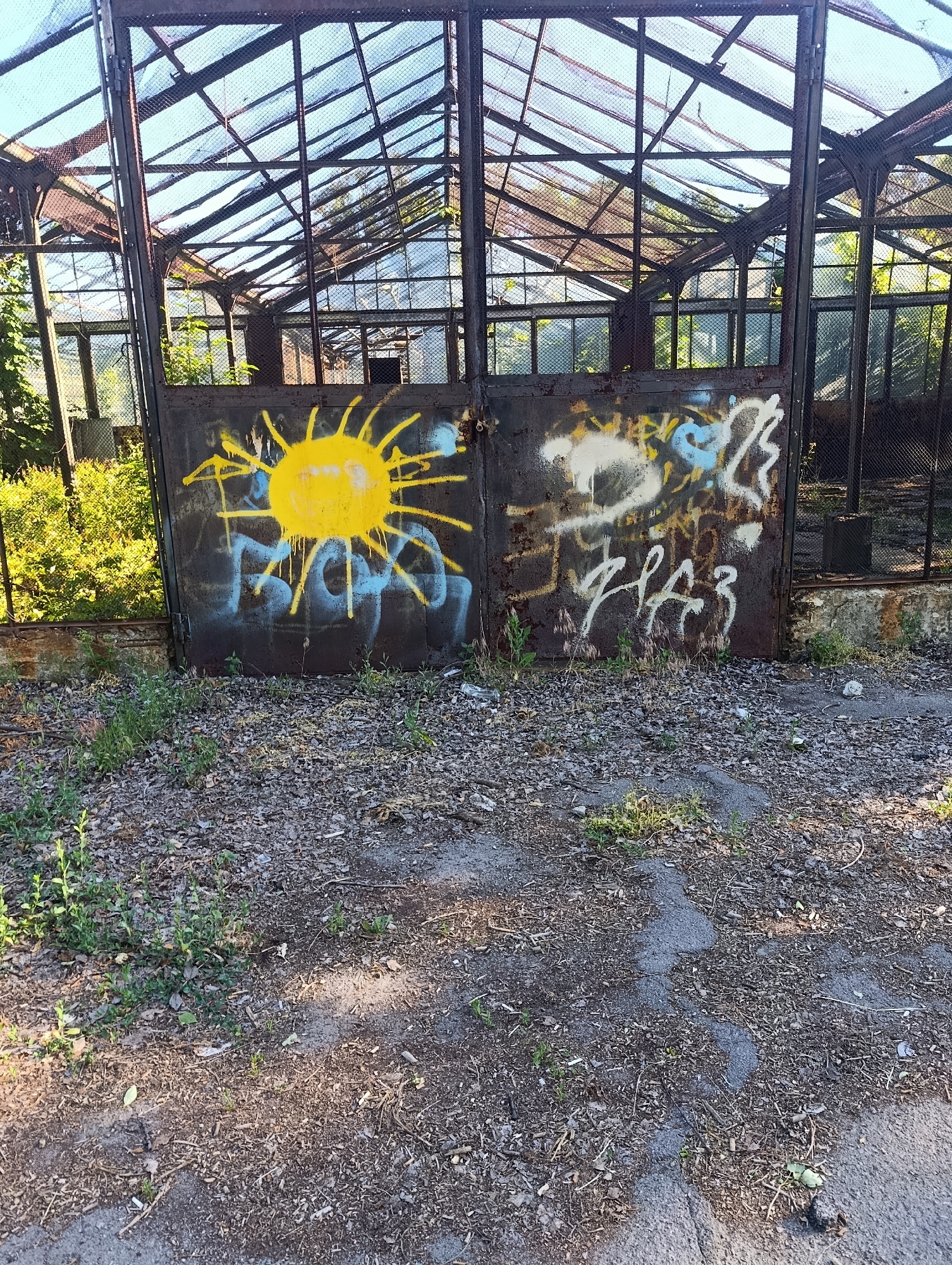 An abandoned greenhouse in Doslidne, Ukraine, features two large, rusty metal doors that have been defaced with graffiti. The left door displays a bright yellow spray-painted sun with a smiley face, surrounded by blue and yellow drips. The right door has white, yellow, and blue abstract spray paint markings, along with some Cyrillic script in white. The greenhouse structure itself is made of weathered metal beams and wire mesh, with broken glass panes visible in the roof and sides. Overgrown vegetation, including green bushes and dry grasses, surrounds the structure and encroaches on the gravelly ground in front of the doors. The overall scene conveys a sense of decay and neglect.