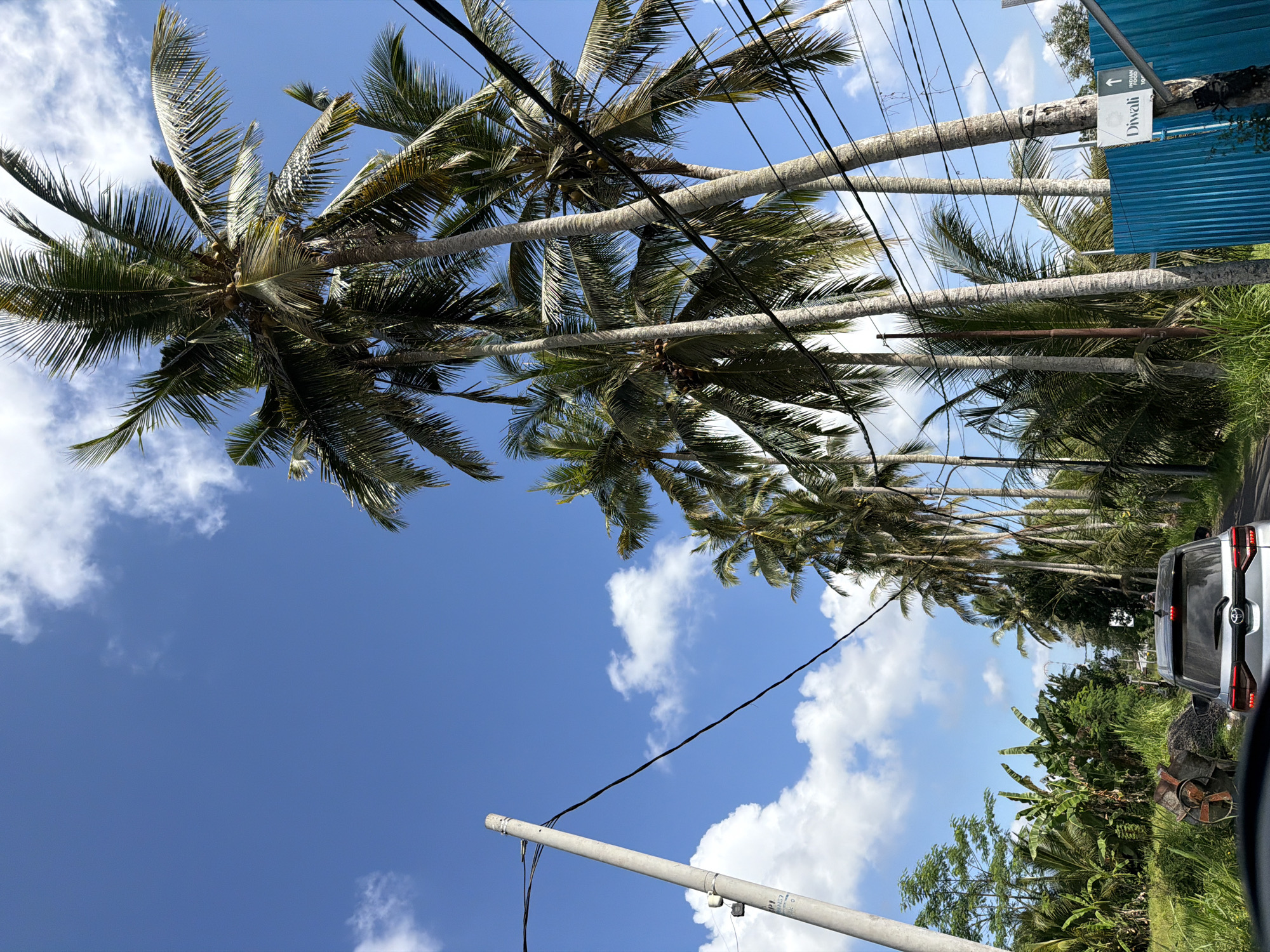 The image captures a sunny day in Tampaksiring, Indonesia, with a clear blue sky dotted with white clouds. A row of tall palm trees lines a road, their fronds casting shadows. A silver SUV is driving on the road, with part of its interior visible in the foreground. A utility pole with wires stands to the left of the road, and lush green vegetation, including banana trees, grows along the sides. A bright blue fence is visible on the right, with a sign pointing towards "Diwali" and "INDIAN RESTAURANT." The overall scene depicts a tropical road with a mix of natural and man-made elements.